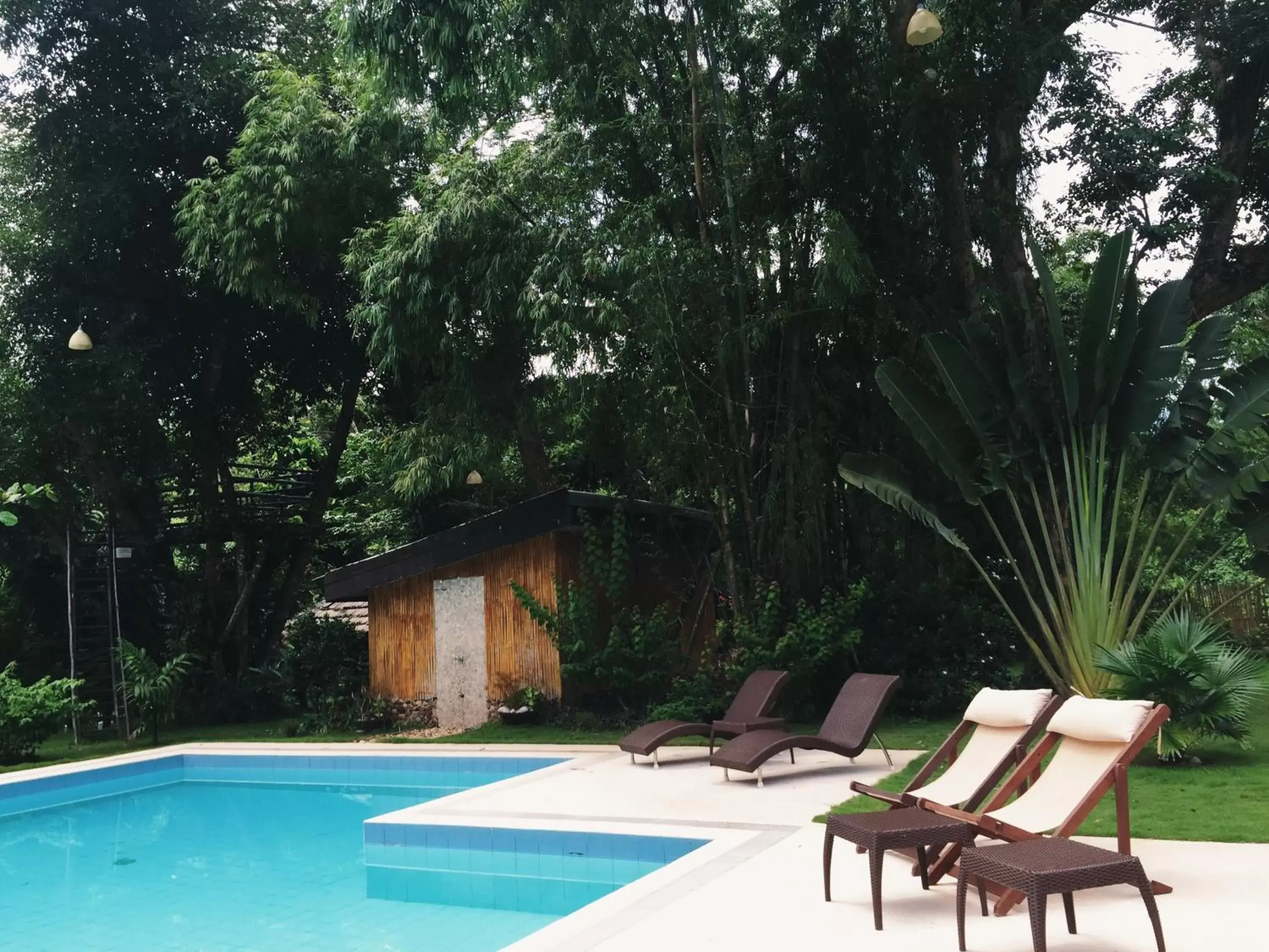 Garden, Swimming Pool in La Natura Resort