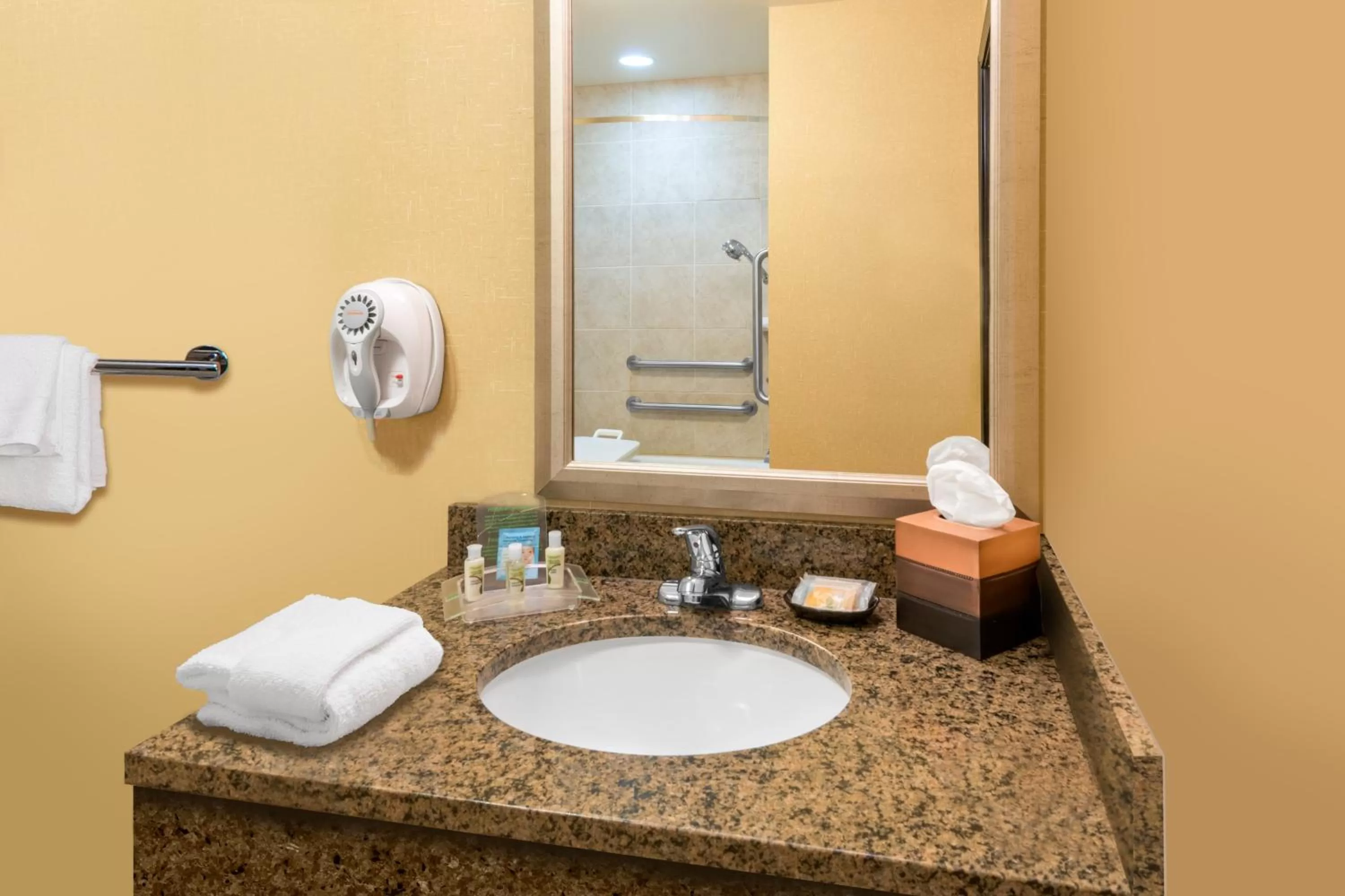 Bathroom in Holiday Inn Hotel & Suites Grand Junction-Airport by IHG
