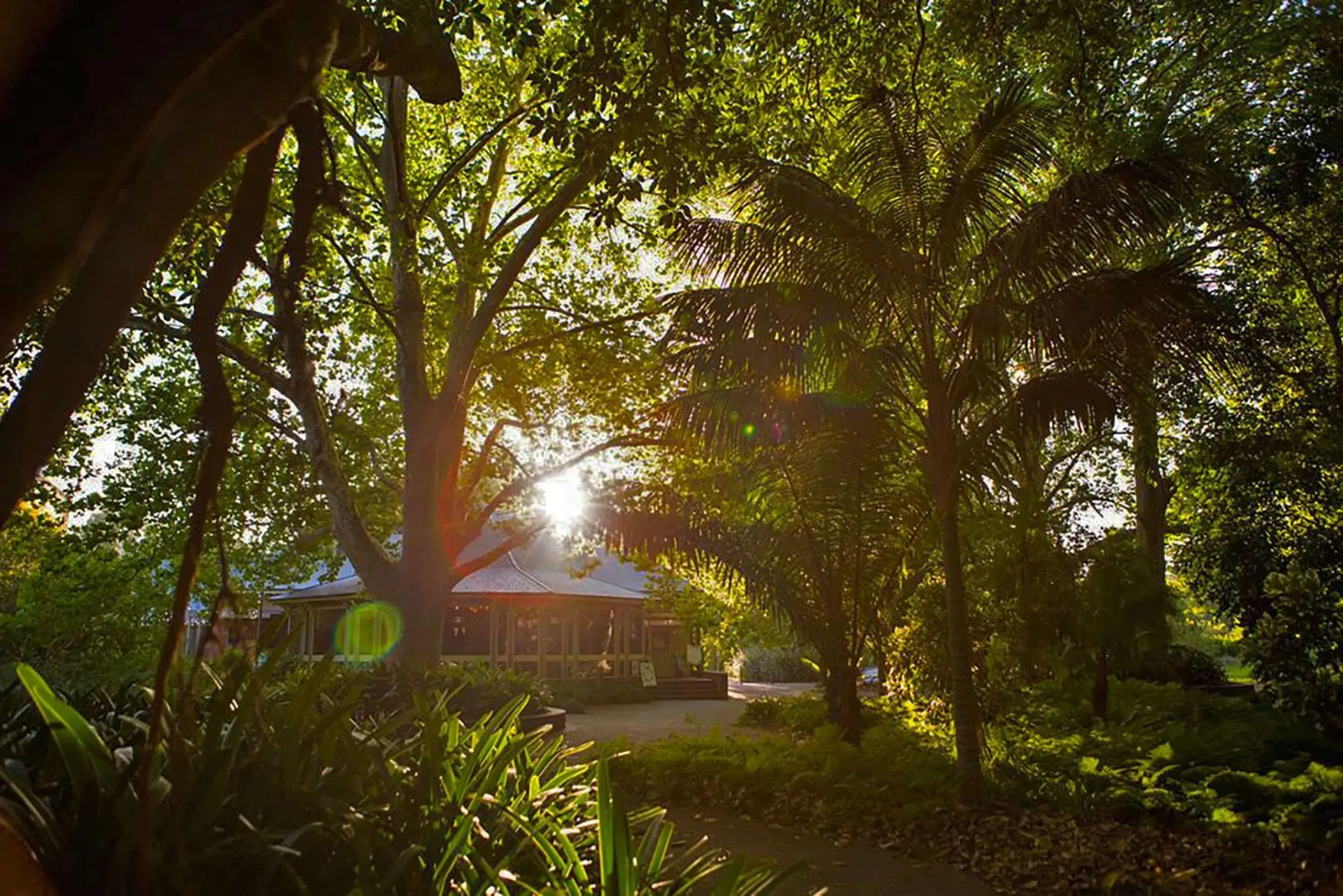 Off site, Garden in Quality Apartments Adelaide Central