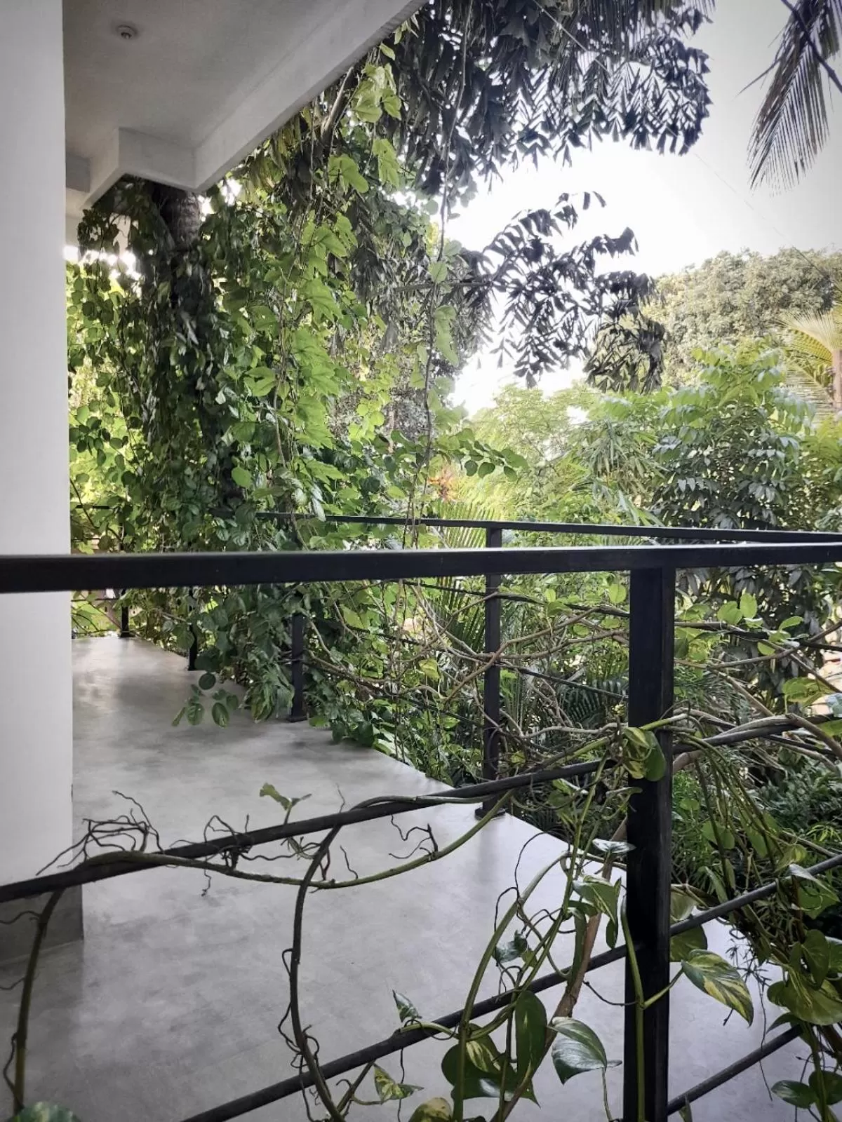 Balcony/Terrace in Weligama Bay Watsila Resort