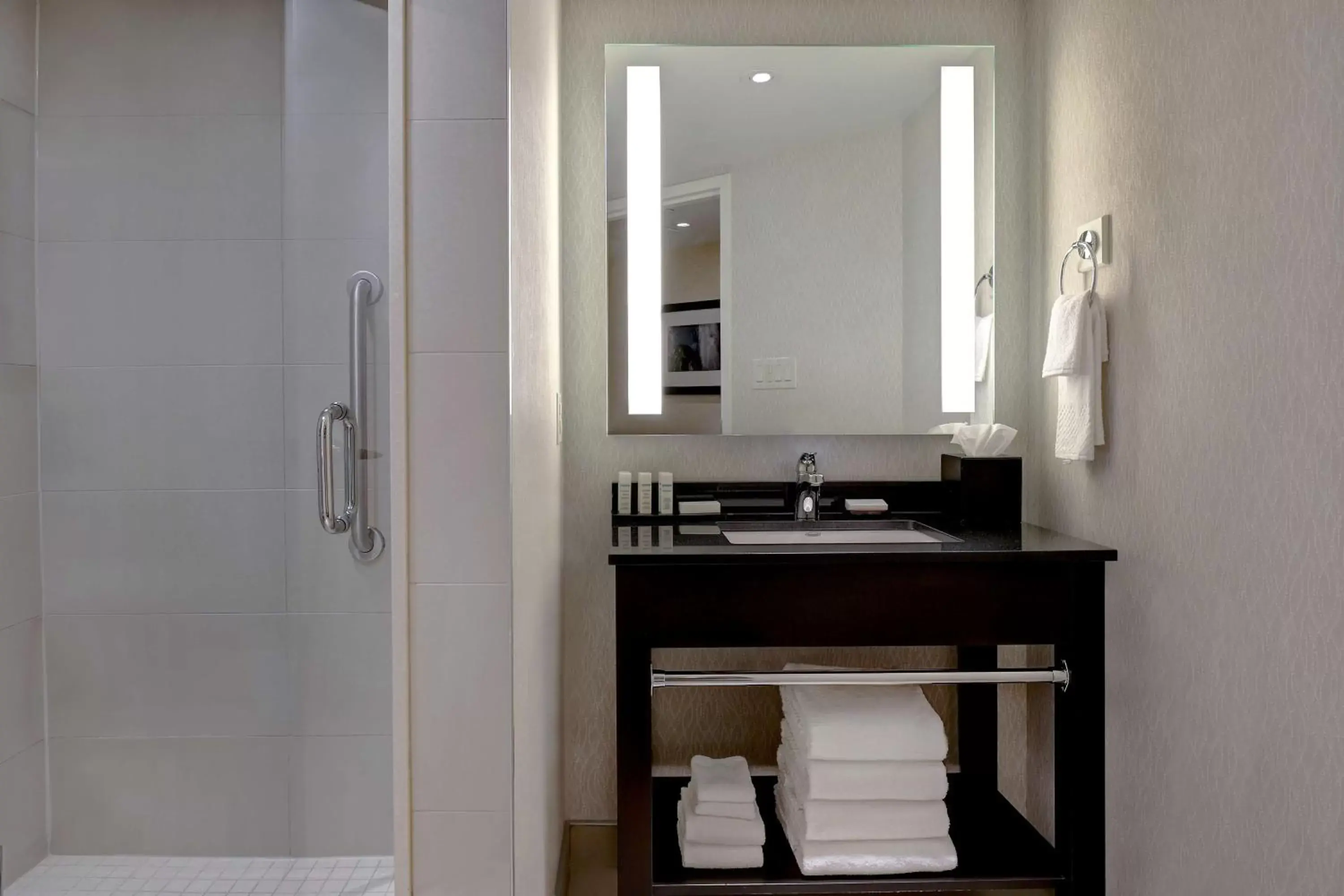 Bathroom in Embassy Suites by Hilton Niagara Falls/ Fallsview