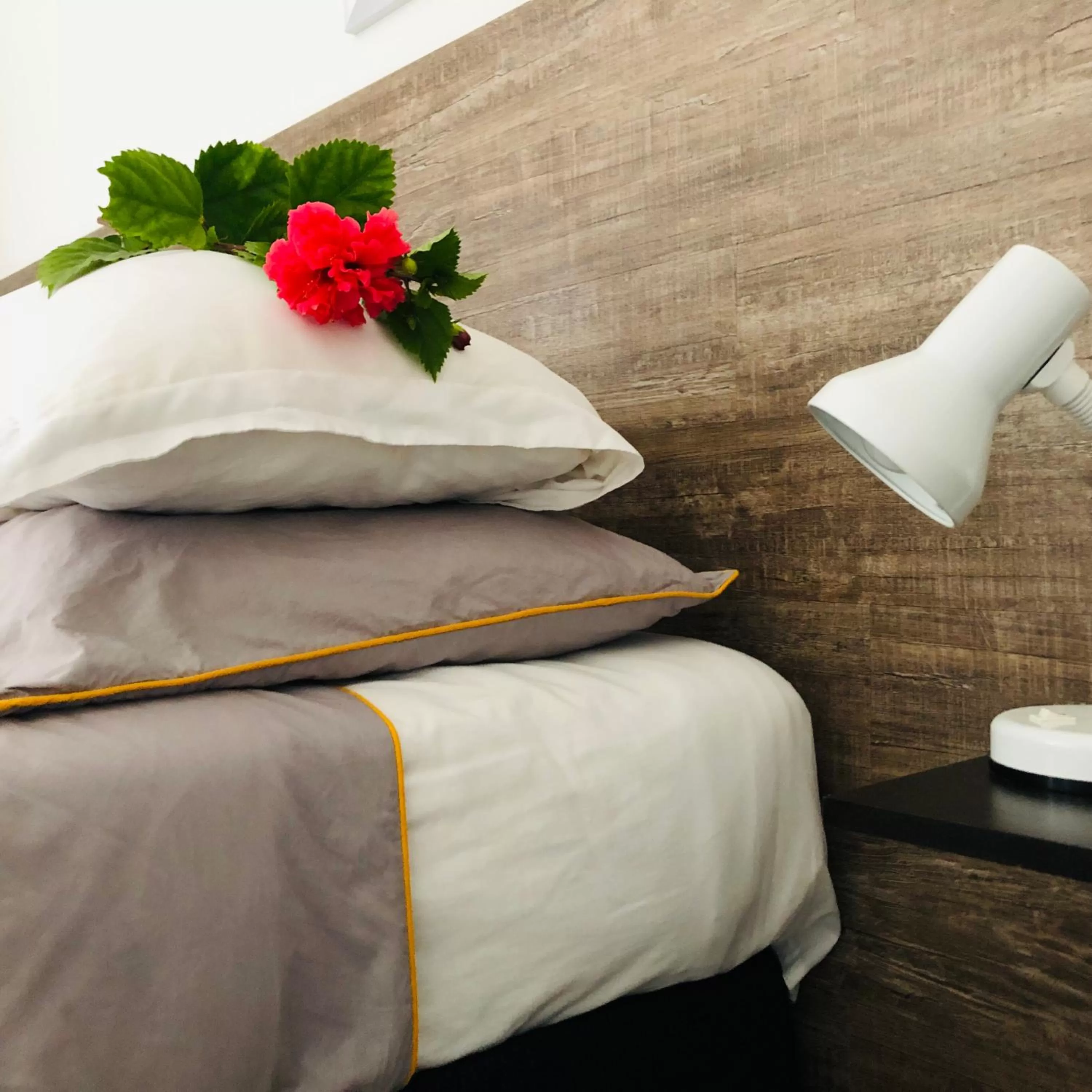 Bed in Holland Lodge Paramaribo