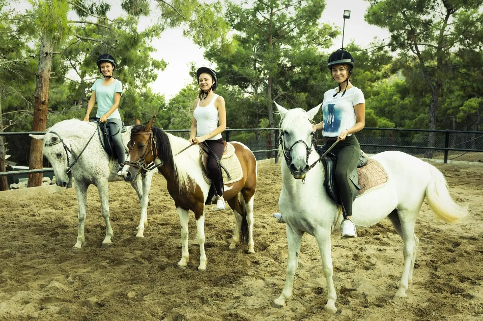 Horse-riding, Horseback Riding in Nirvana Dolce Vita