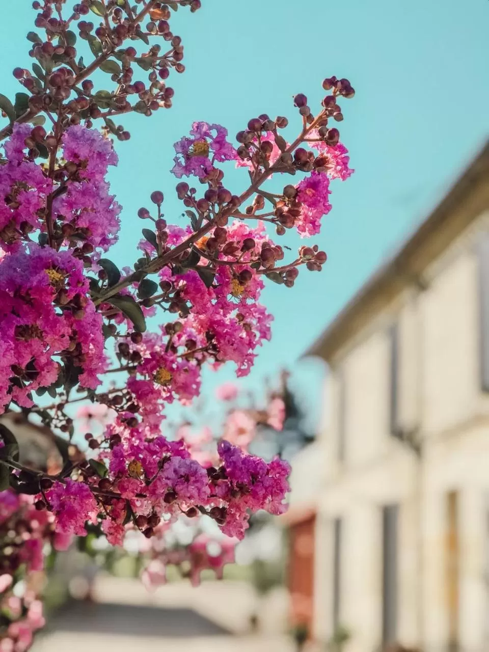 Facade/entrance in l'Orangerie de La Pontête