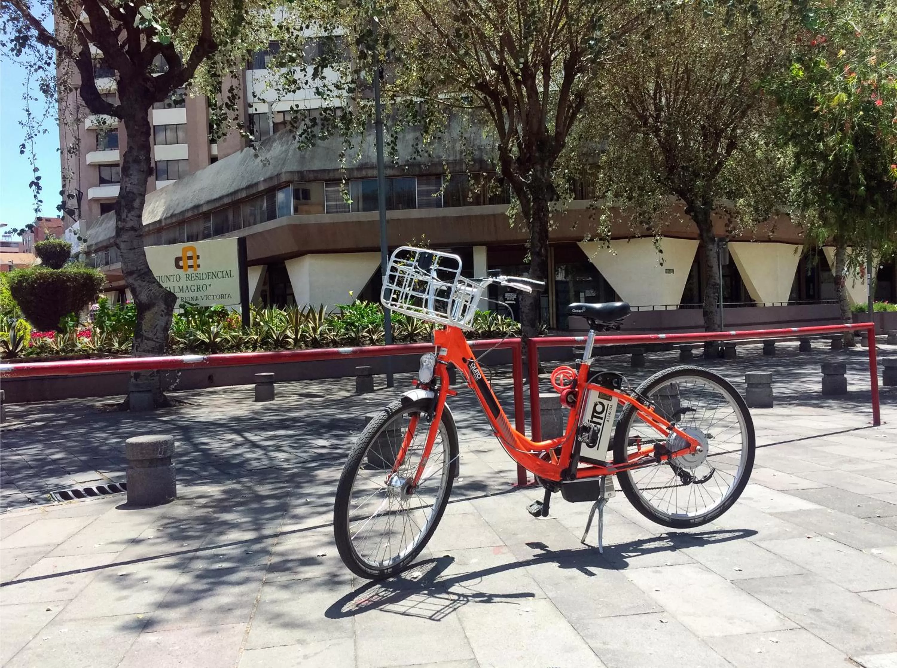 Activities in The Penthouse Lodge