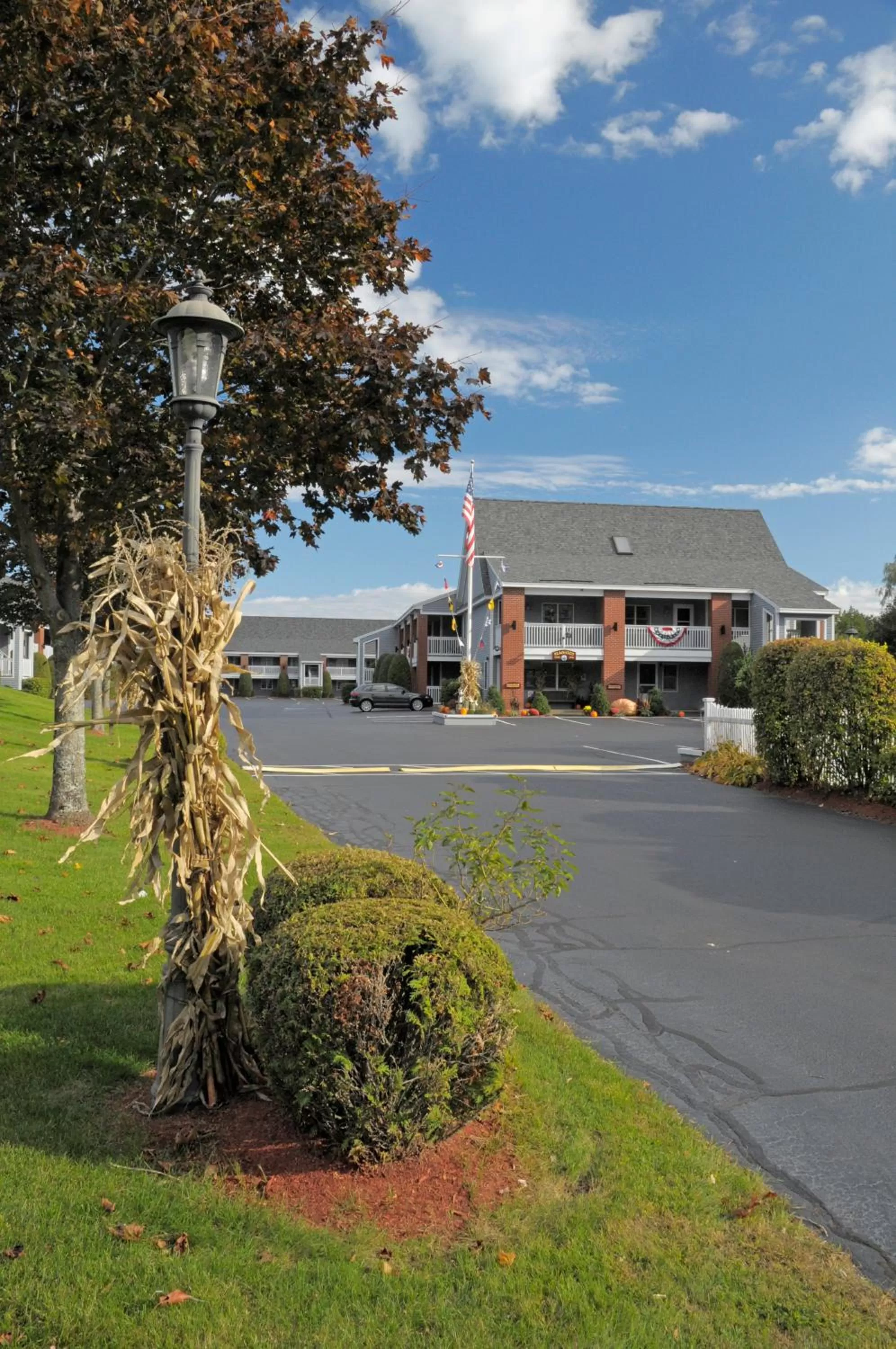 Lounge or bar, Garden in Elmwood Resort Hotel