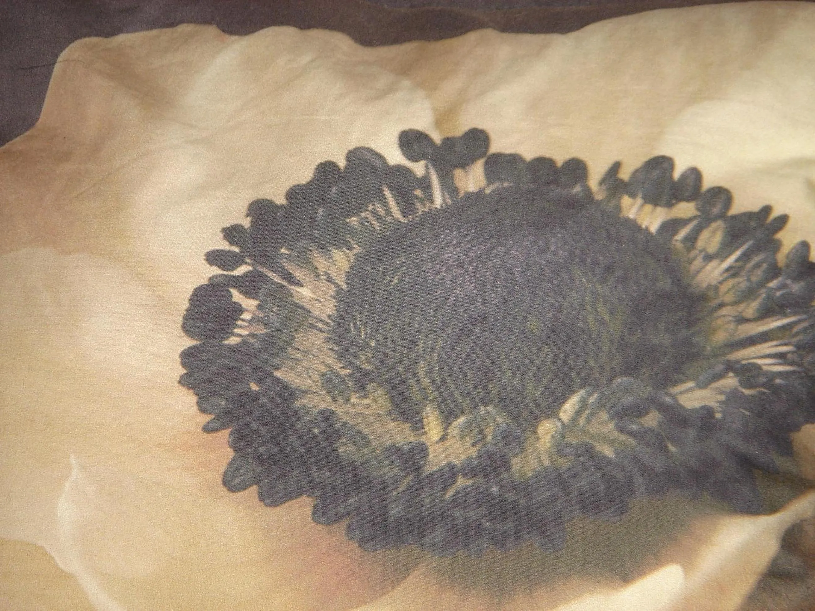 Other in Cit'Hotel des Messageries