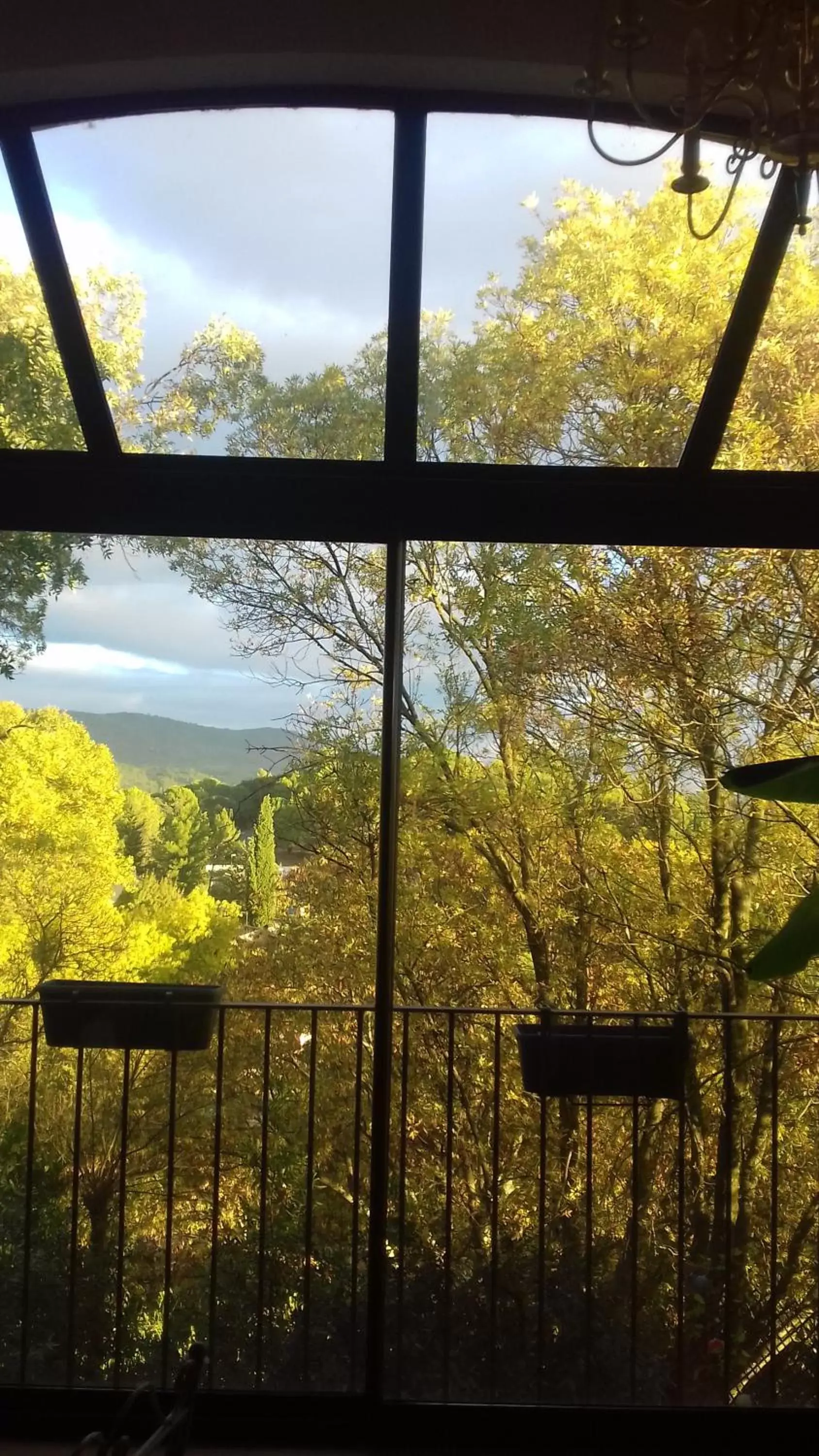 Garden view in Chambres d'hôtes Le Bois Des Frênes