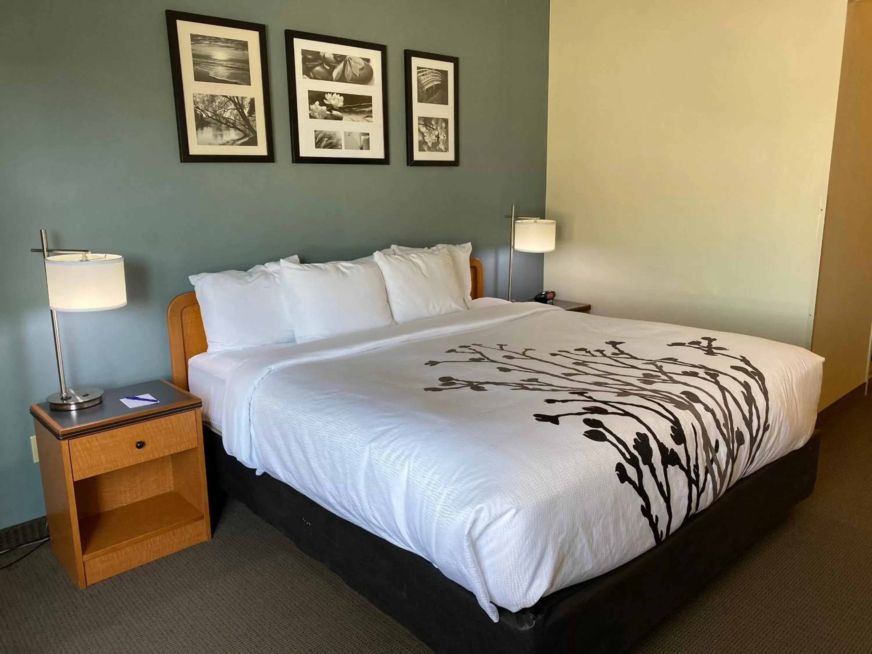 Standard King Room with Roll-in Shower - Accessible/Non-Smoking in Sleep Inn and Suites Davenport