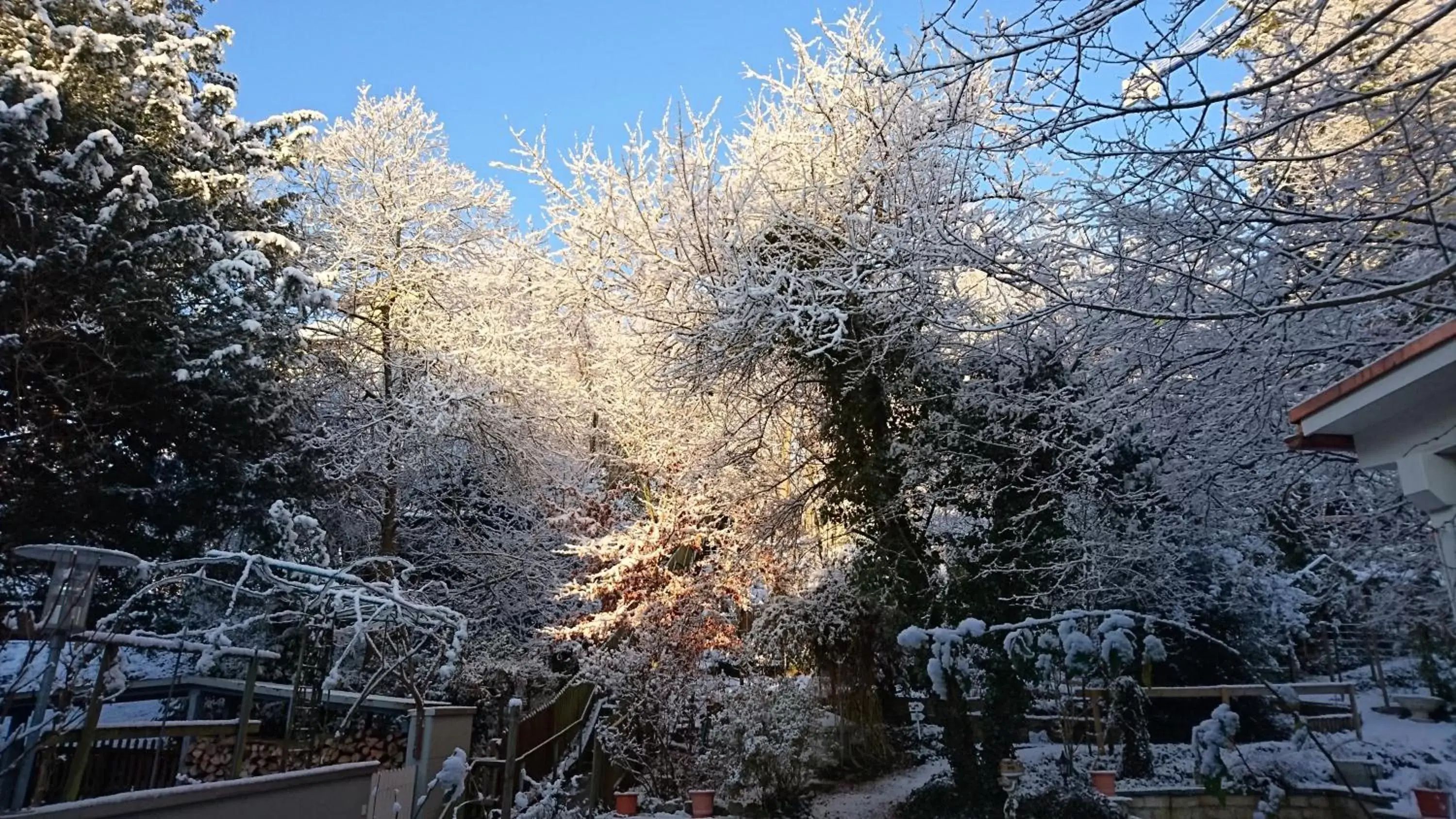 Garden, Winter in Hotel Promenade