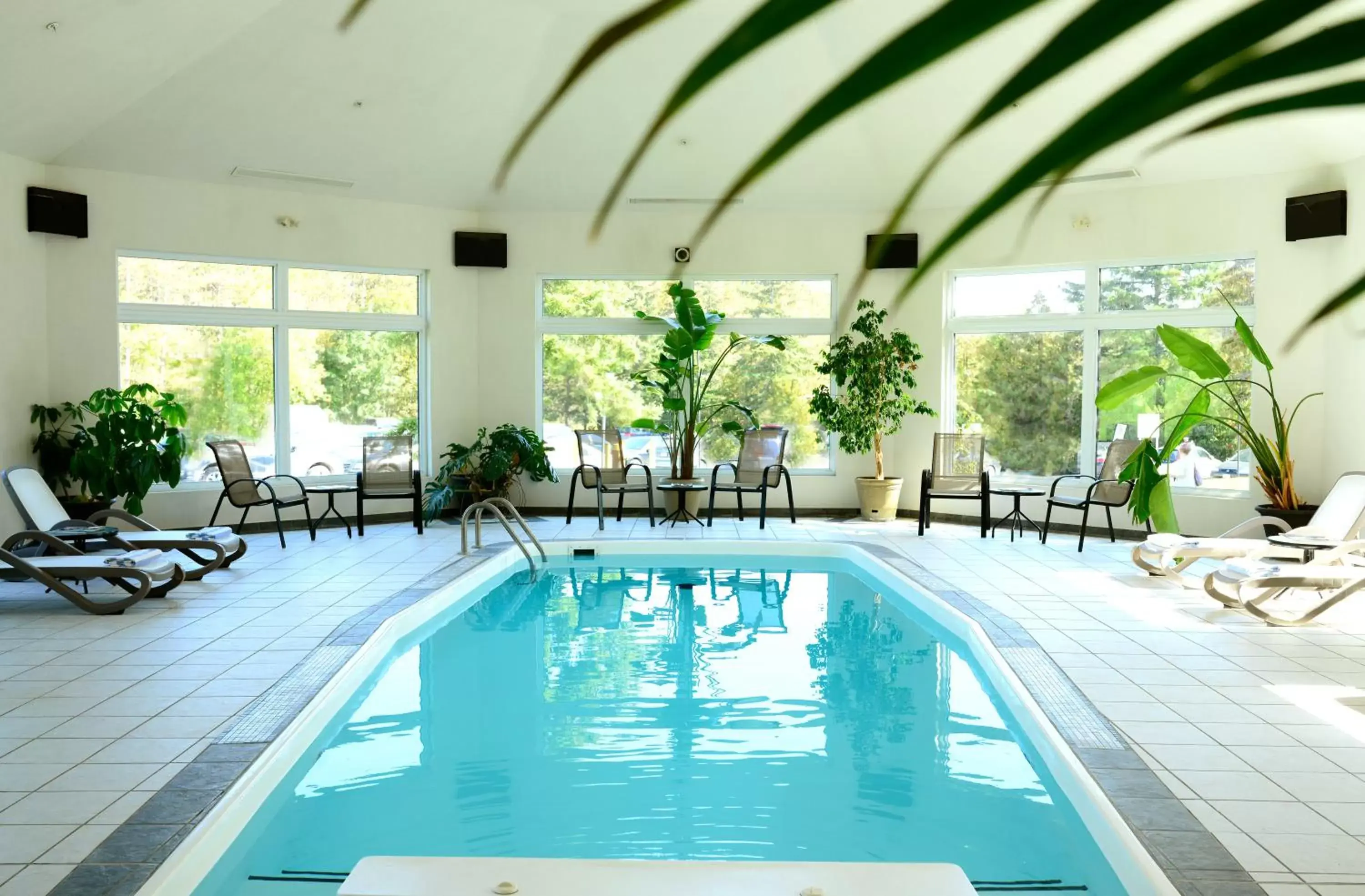 Swimming Pool in Millcroft Inn & Spa