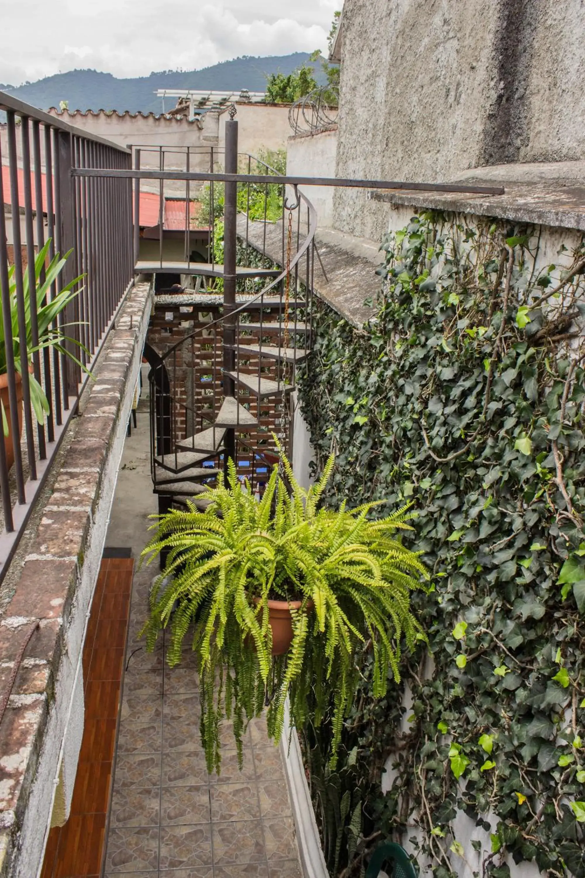 Balcony/Terrace in Hostal Antigua