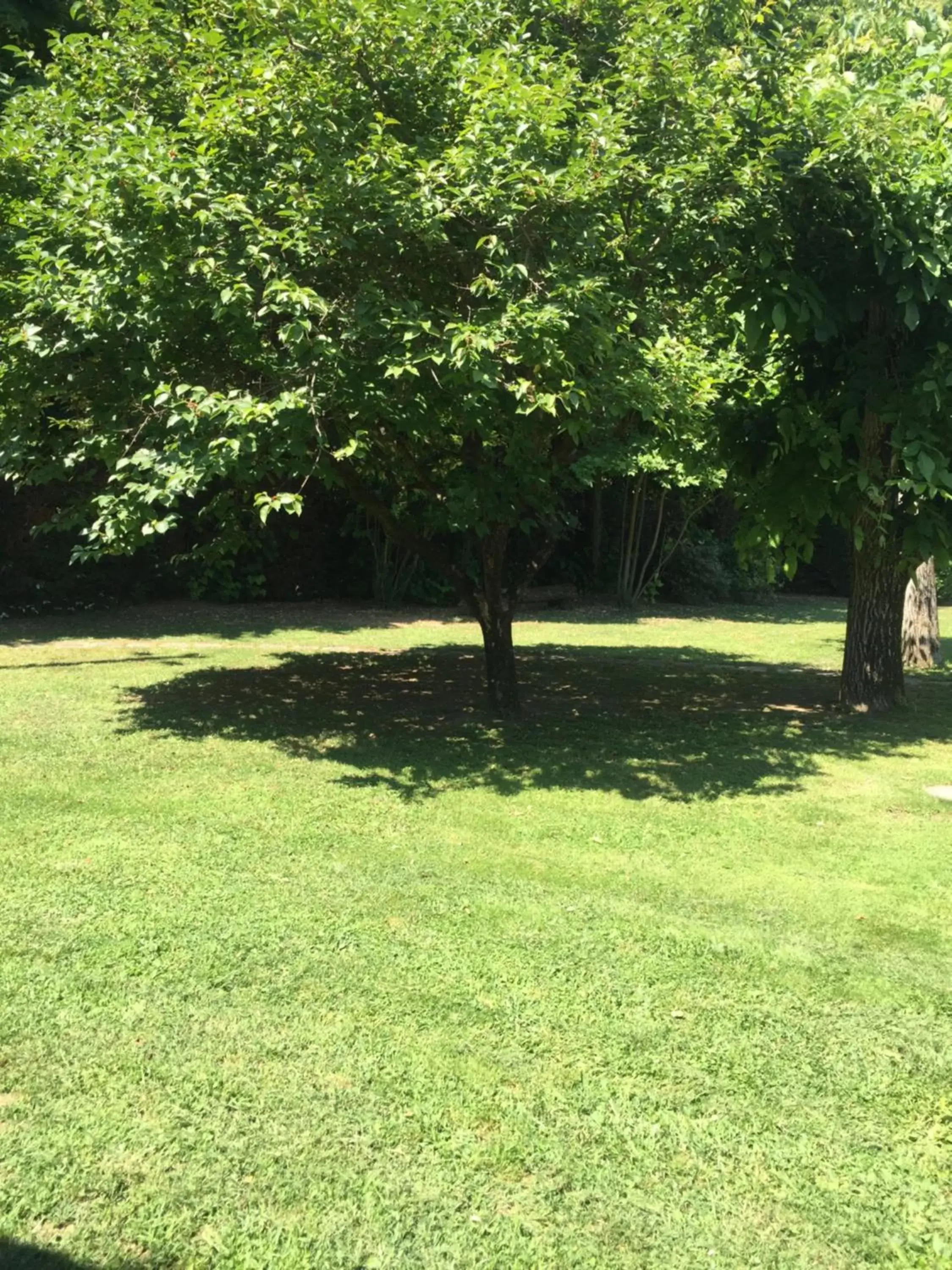 Natural landscape, Garden in Corte Posta B&B