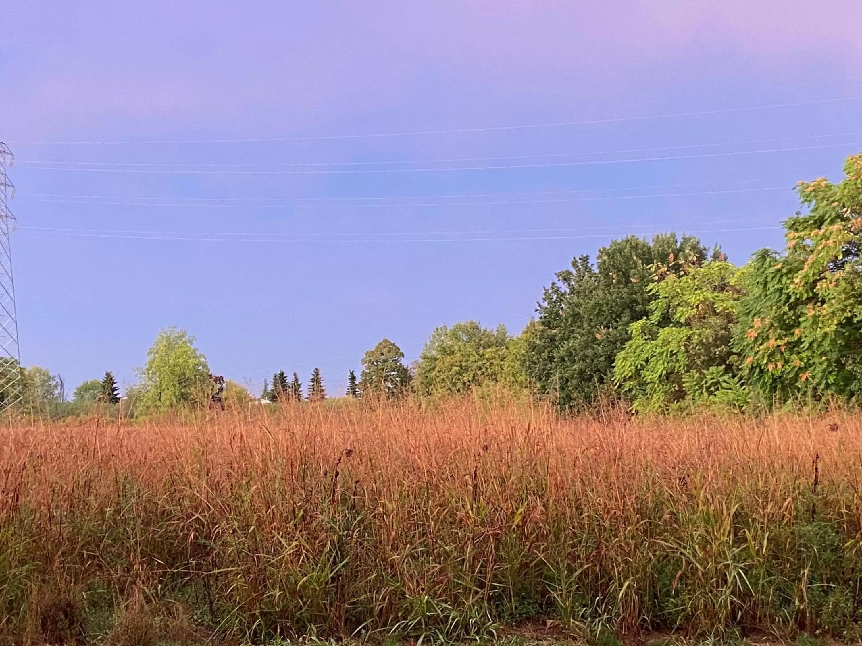 Natural Landscape in Acero Giallo