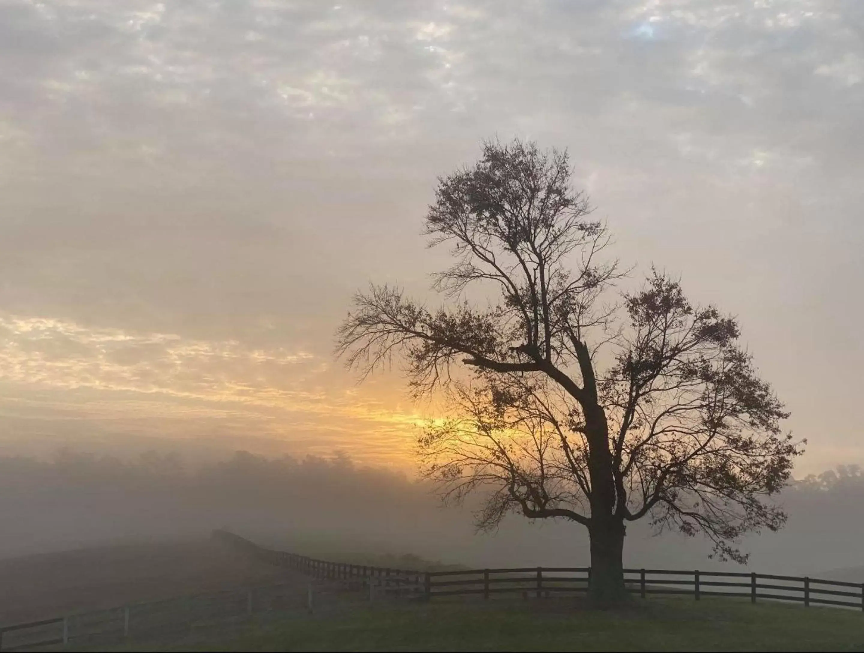 Natural landscape, Sunrise/Sunset in Bluegreen Vacations Shenandoah Crossing, Ascend Resort Collection