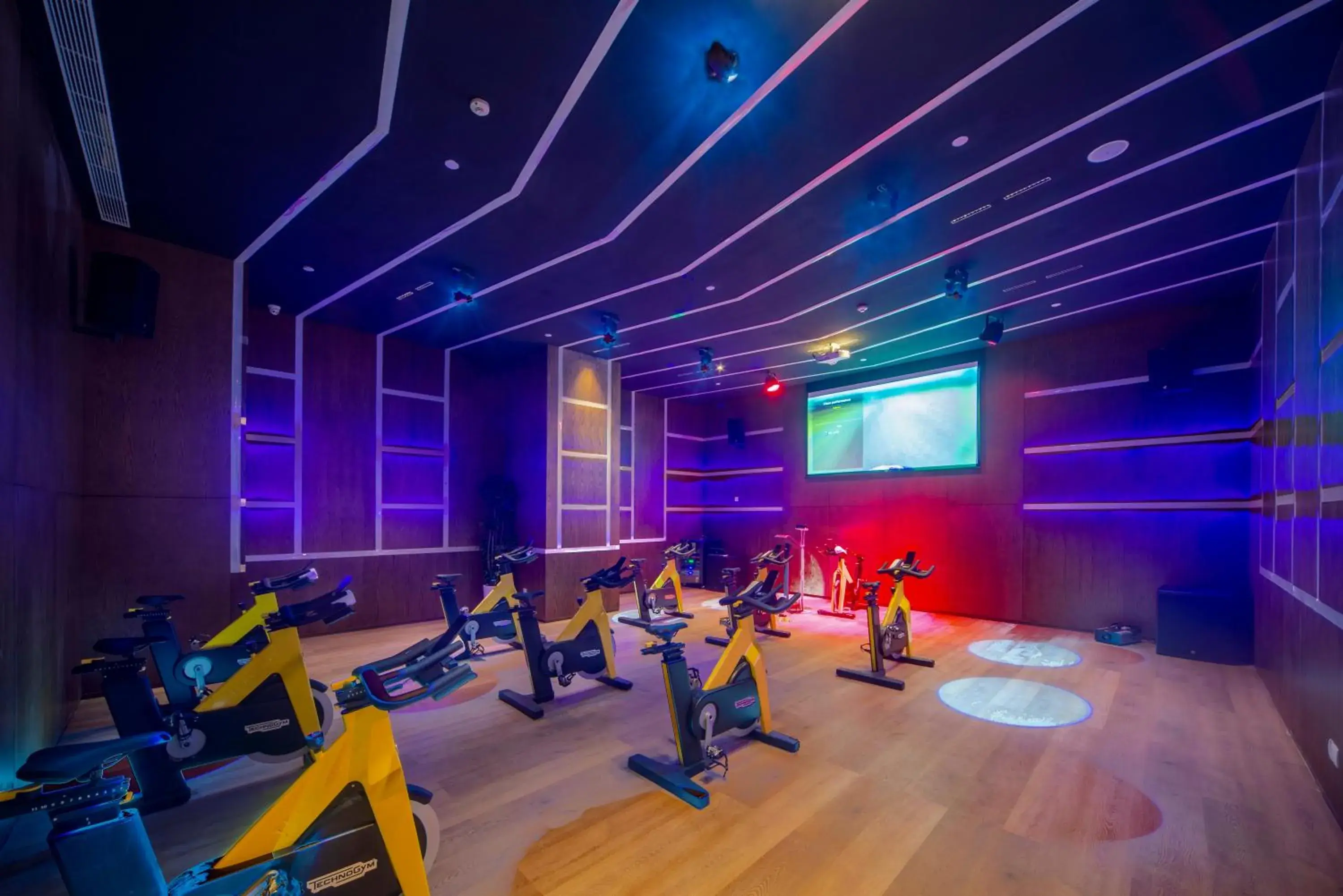 Fitness centre/facilities, Fitness Center/Facilities in Sofitel Haikou