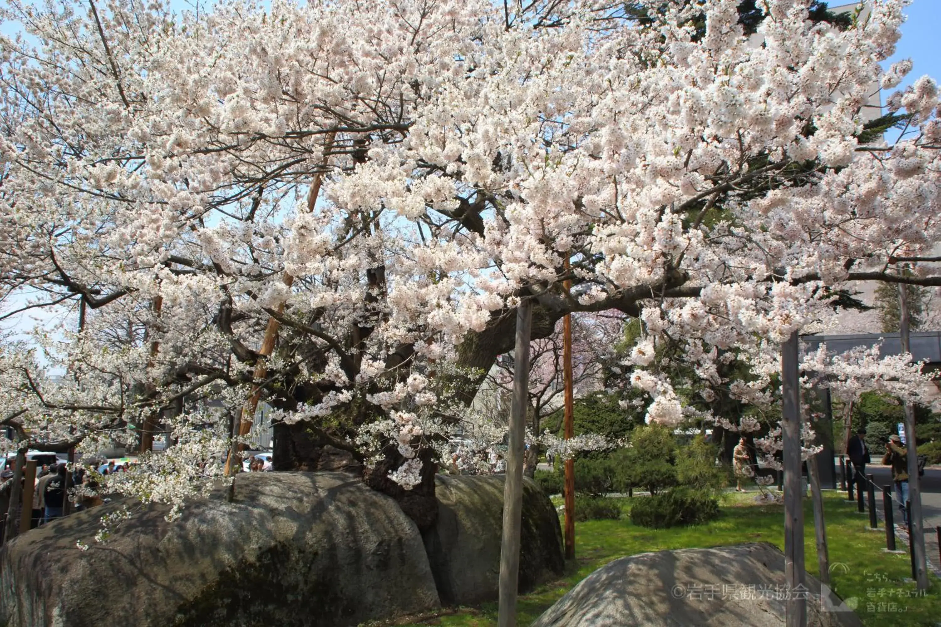 Nearby landmark in Hotel Higashinihon Morioka