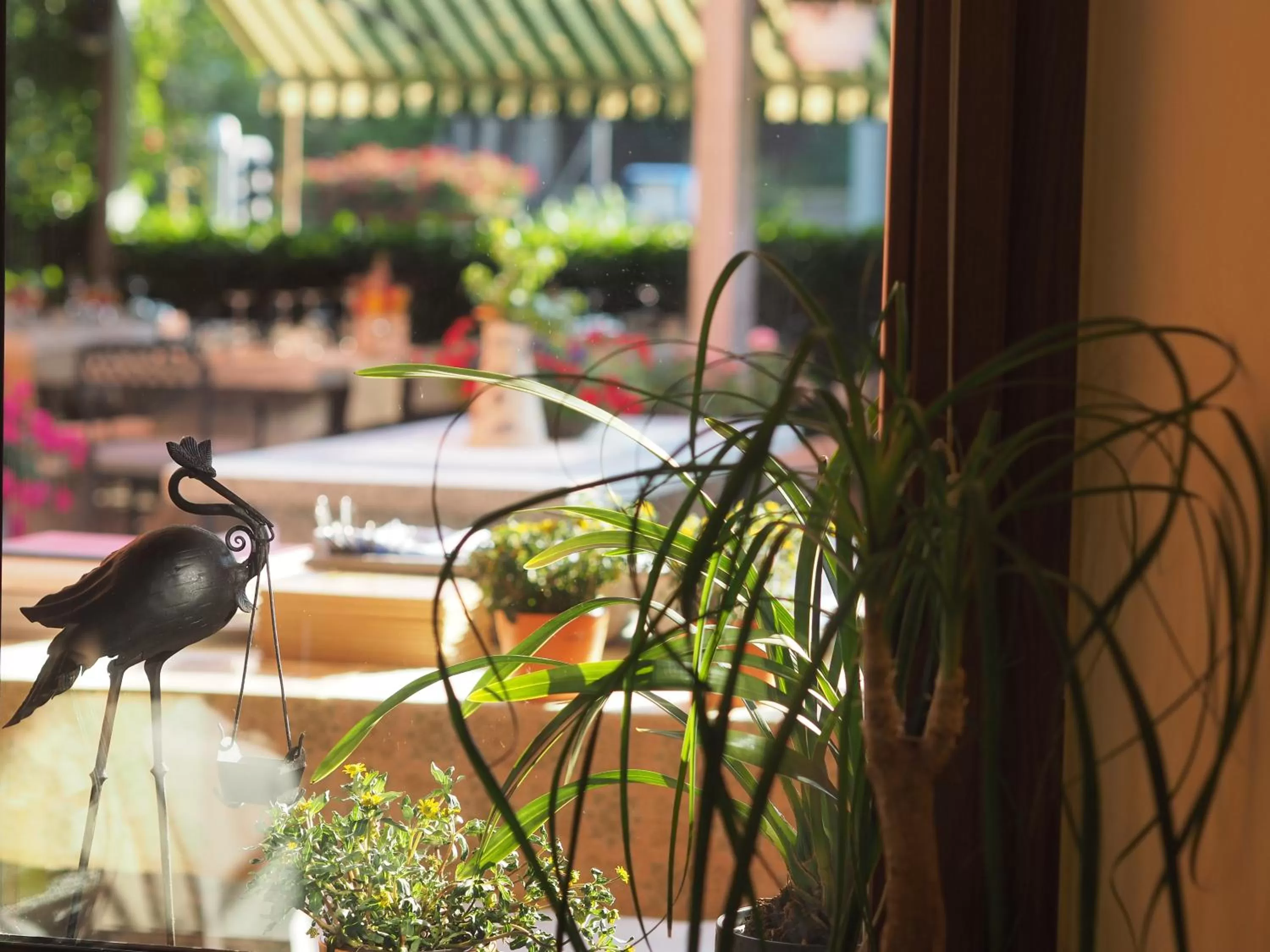 Balcony/Terrace in Charme Hotel Ristorante Tre Terre