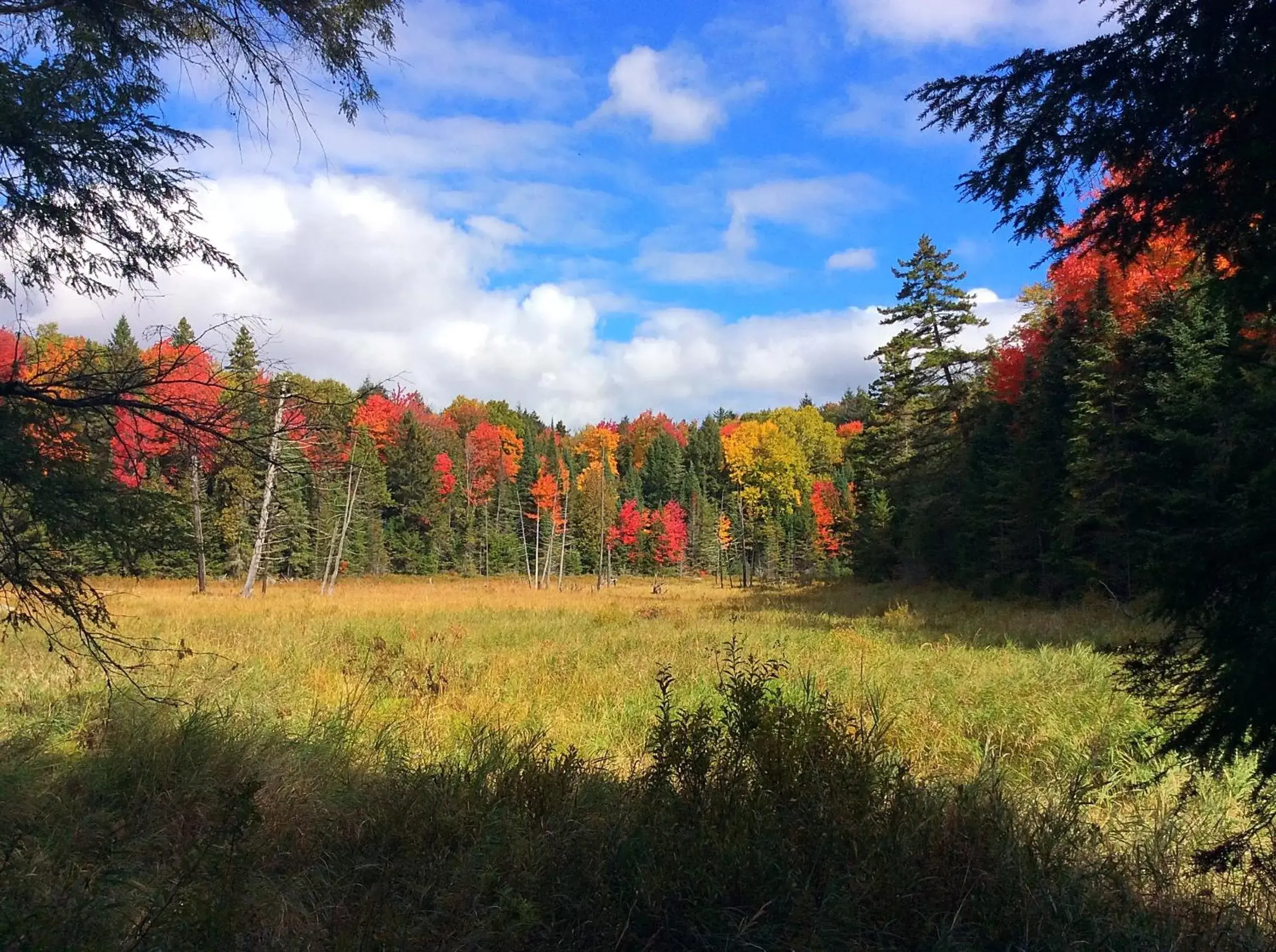 Natural landscape in Madawaska Lodge