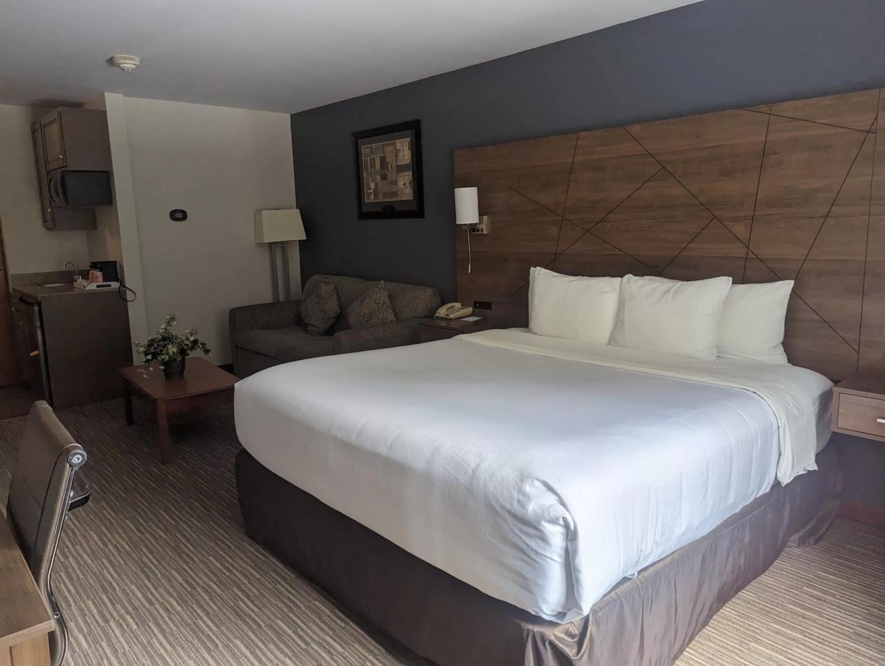 Bed in Quality Inn & Suites Northampton - Amherst
