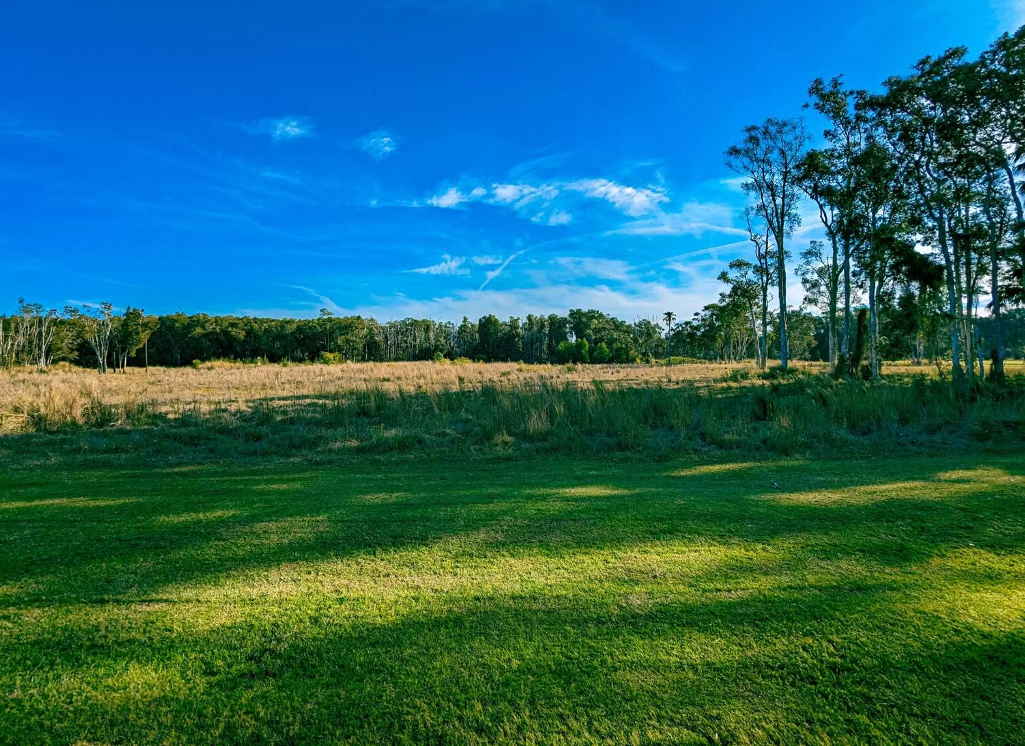 View (from property/room) in Island Palms Motor Inn