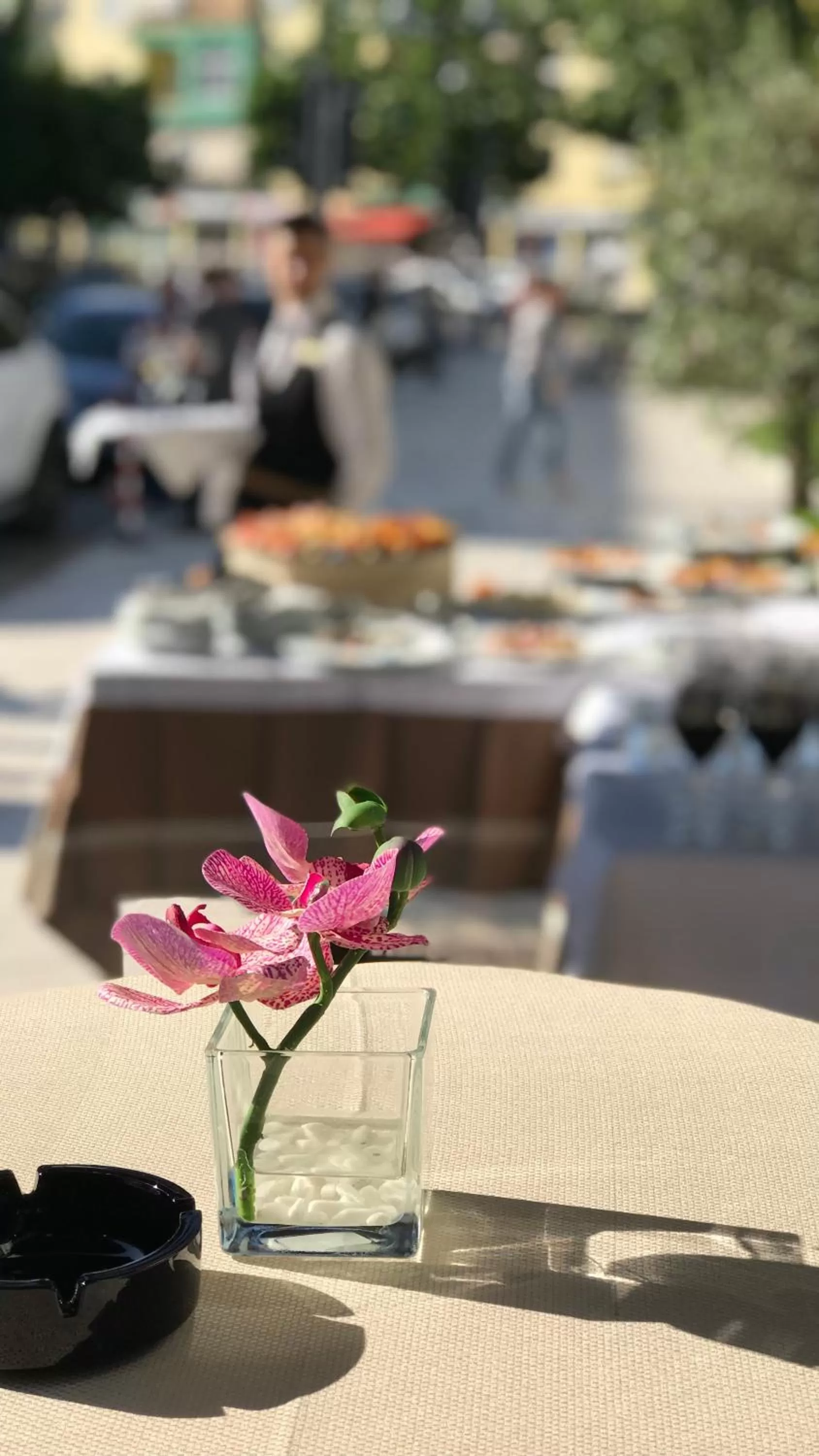 On site in Hotel Colosseo Tirana