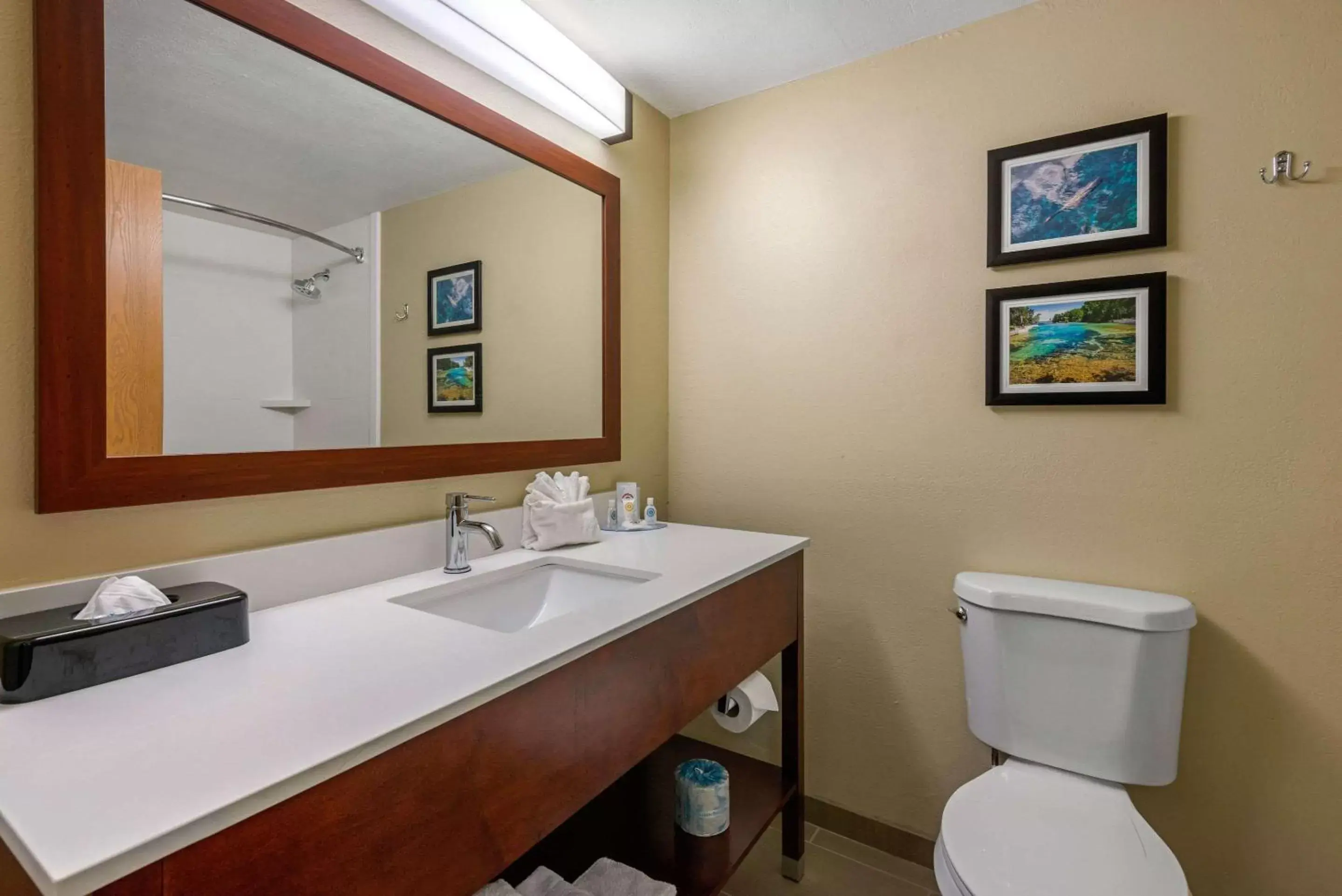 Bathroom in Comfort Inn Ocala Silver Springs