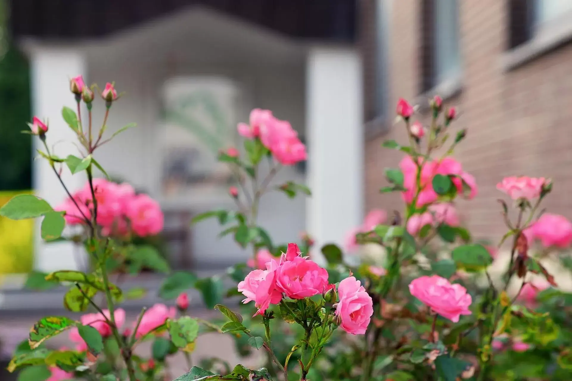 Property building in Hotel Am Steinberg Property building in Hotel Am Steinberg