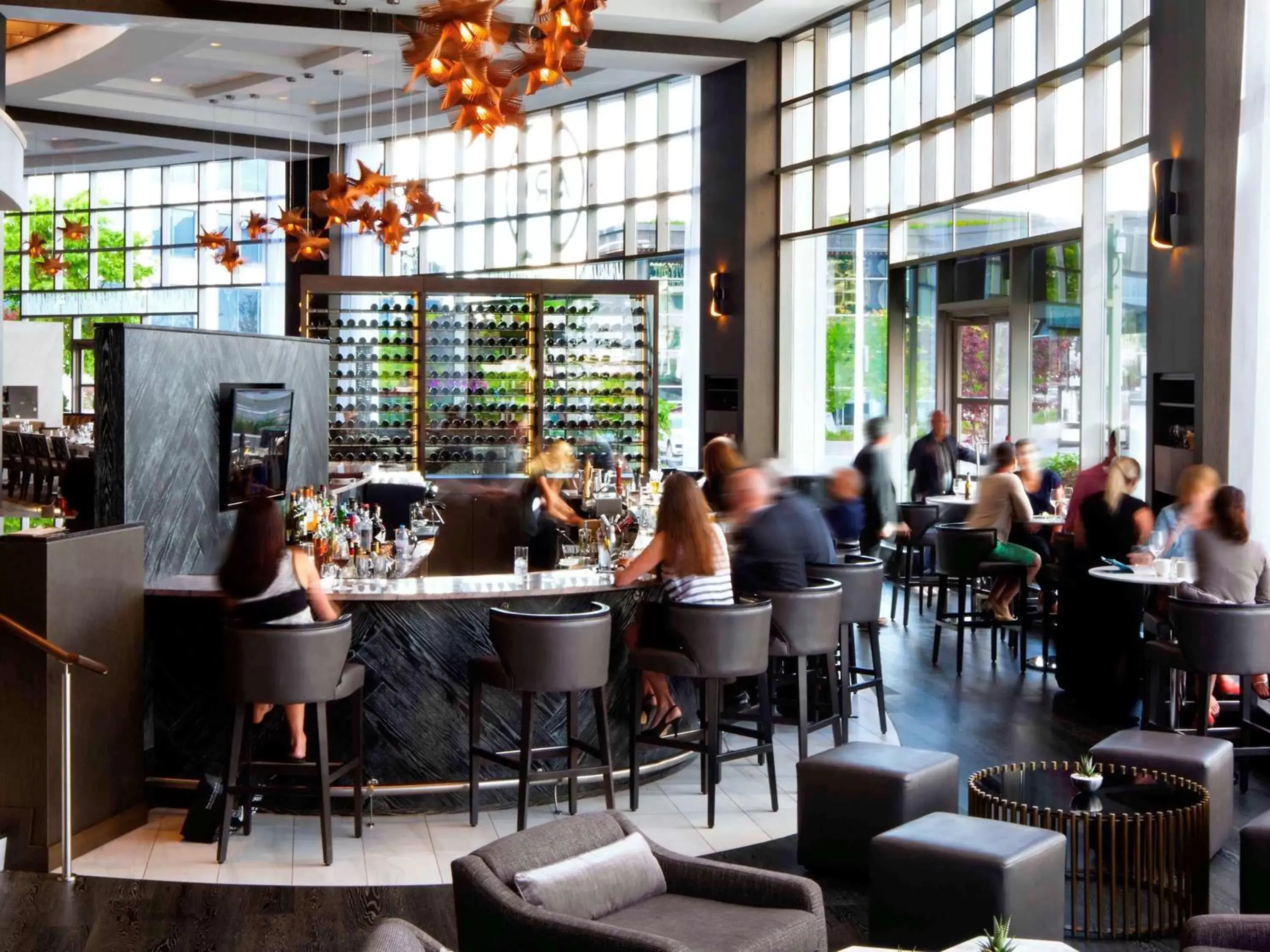 Lounge or bar, Restaurant/Places to Eat in Fairmont Waterfront