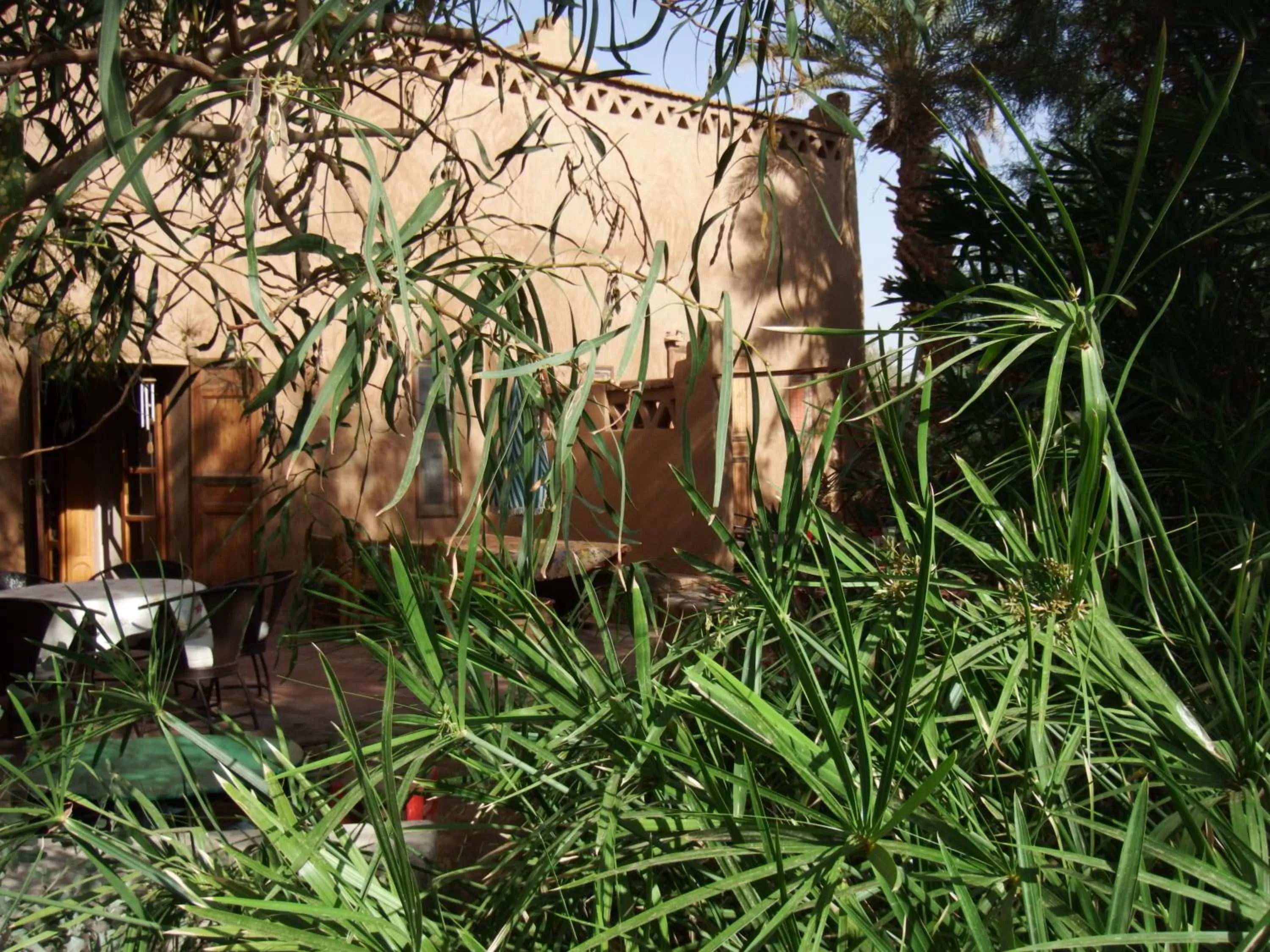 Garden in Dar Paru