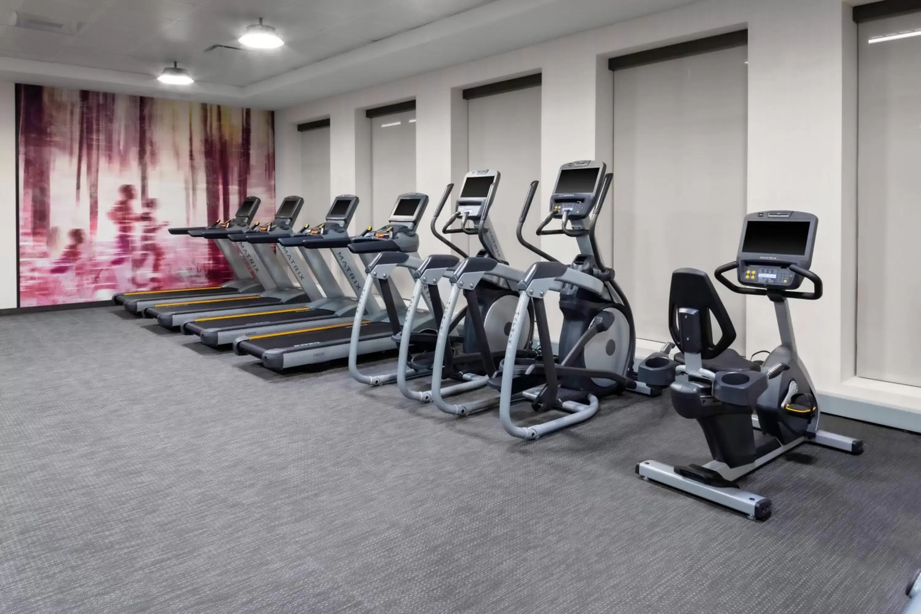 Fitness centre/facilities, Fitness Center/Facilities in Courtyard by Marriott East Lansing Okemos