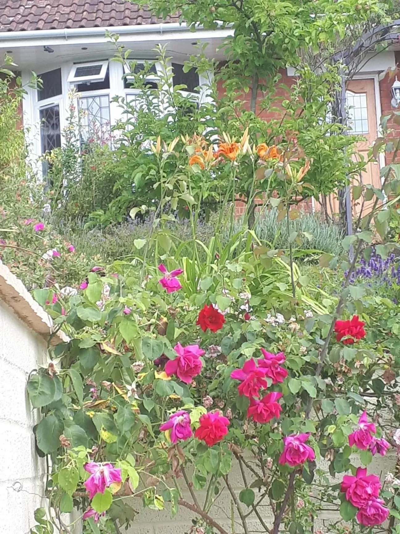 Property building in Santi Bhavana Bed & Breakfast