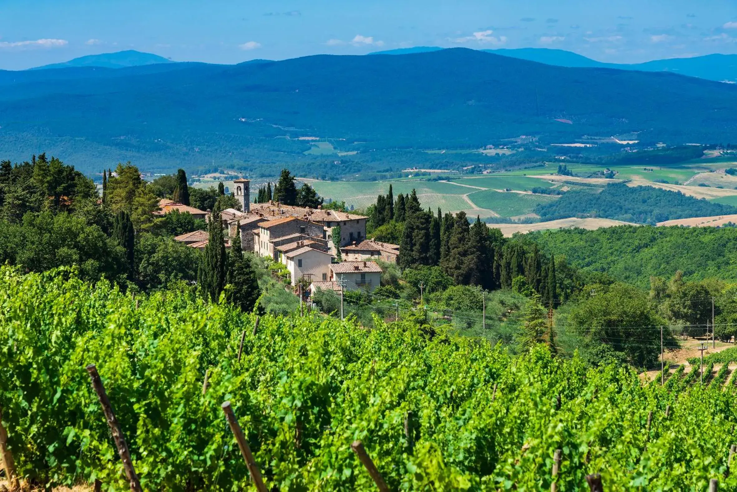 Other, Bird's-eye View in Castello di Fonterutoli Wine Resort