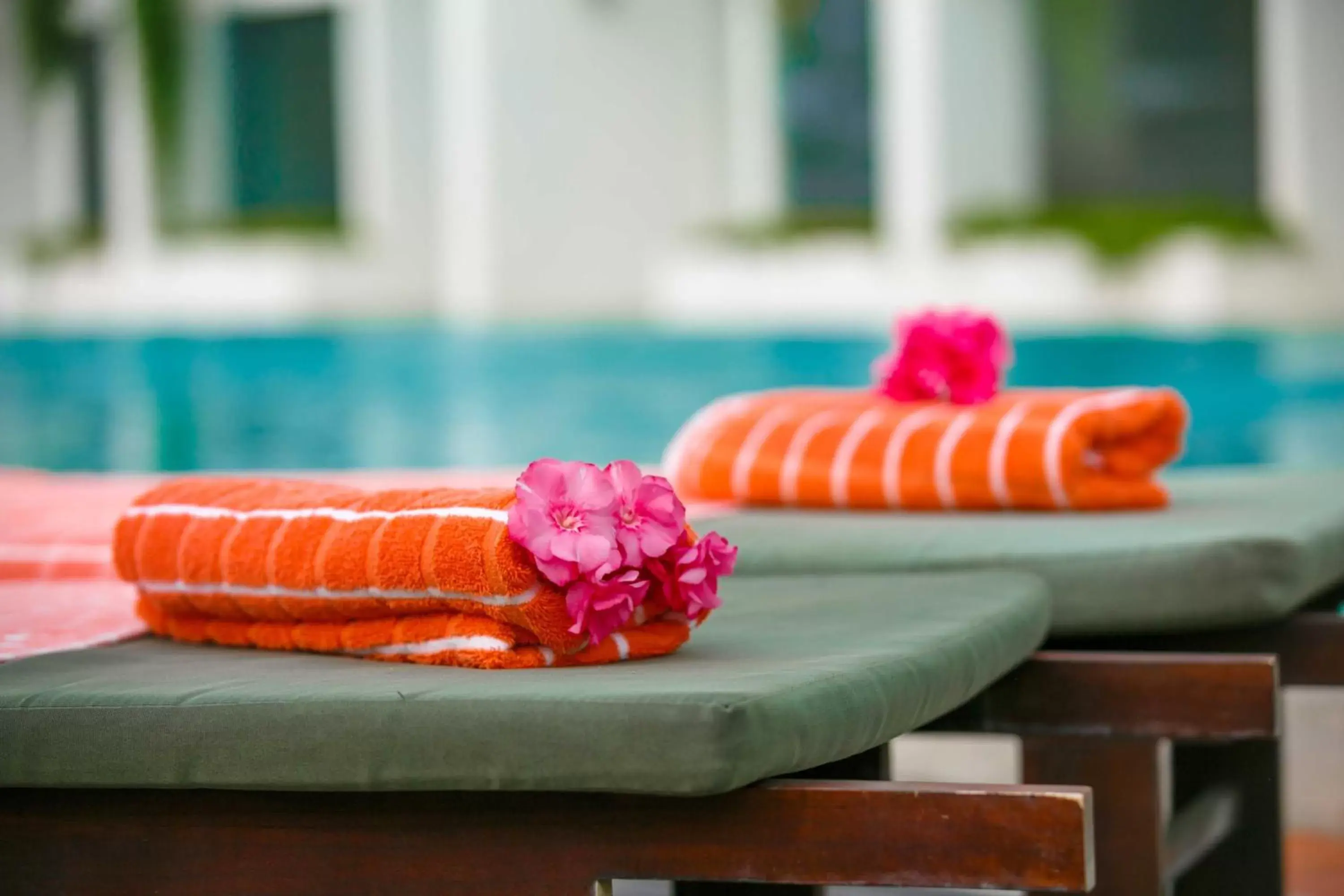 Decorative detail, Swimming Pool in Citrus Waskaduwa