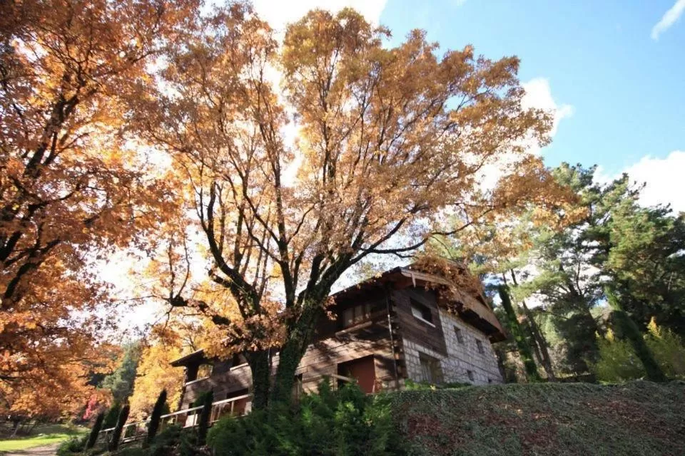 Property building in Hotel Rural Las Rozuelas