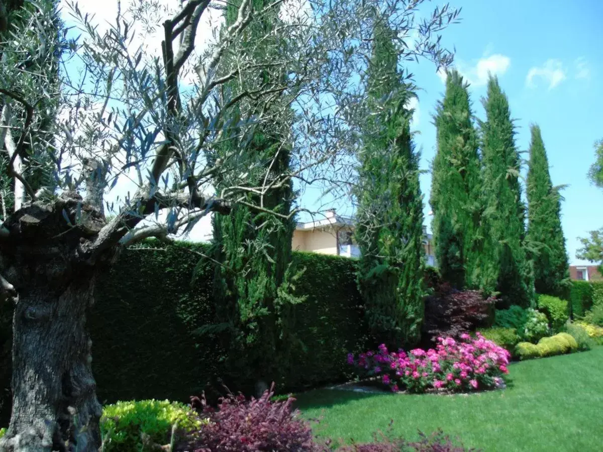 Garden view, Garden in Ai Cipressi