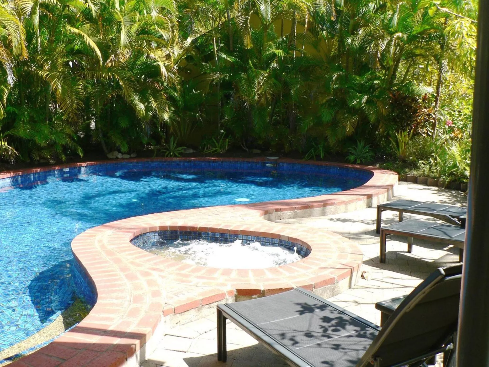 Swimming pool in Mango Tree Holiday Apartments