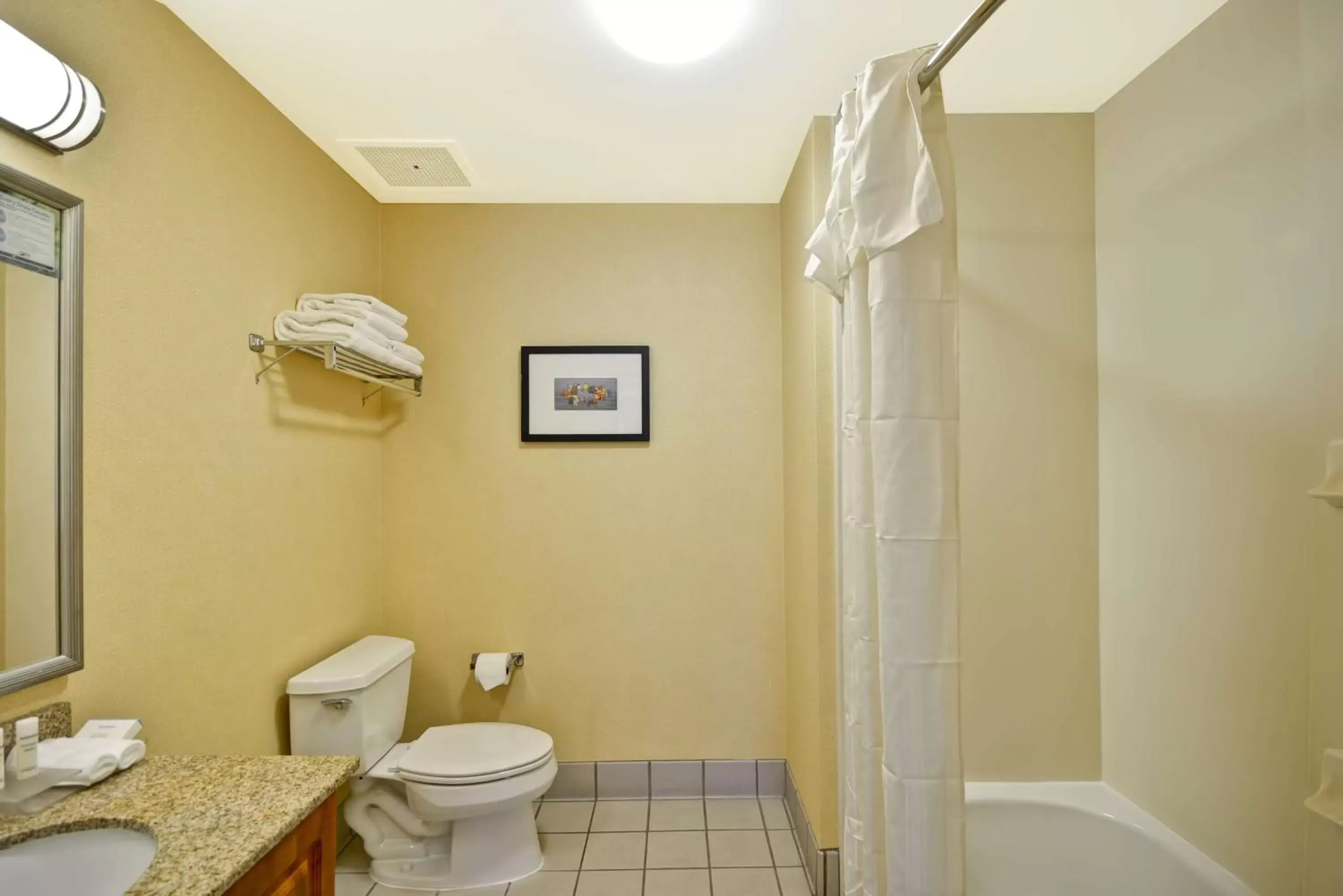 Bathroom in Homewood Suites by Hilton - Oakland Waterfront