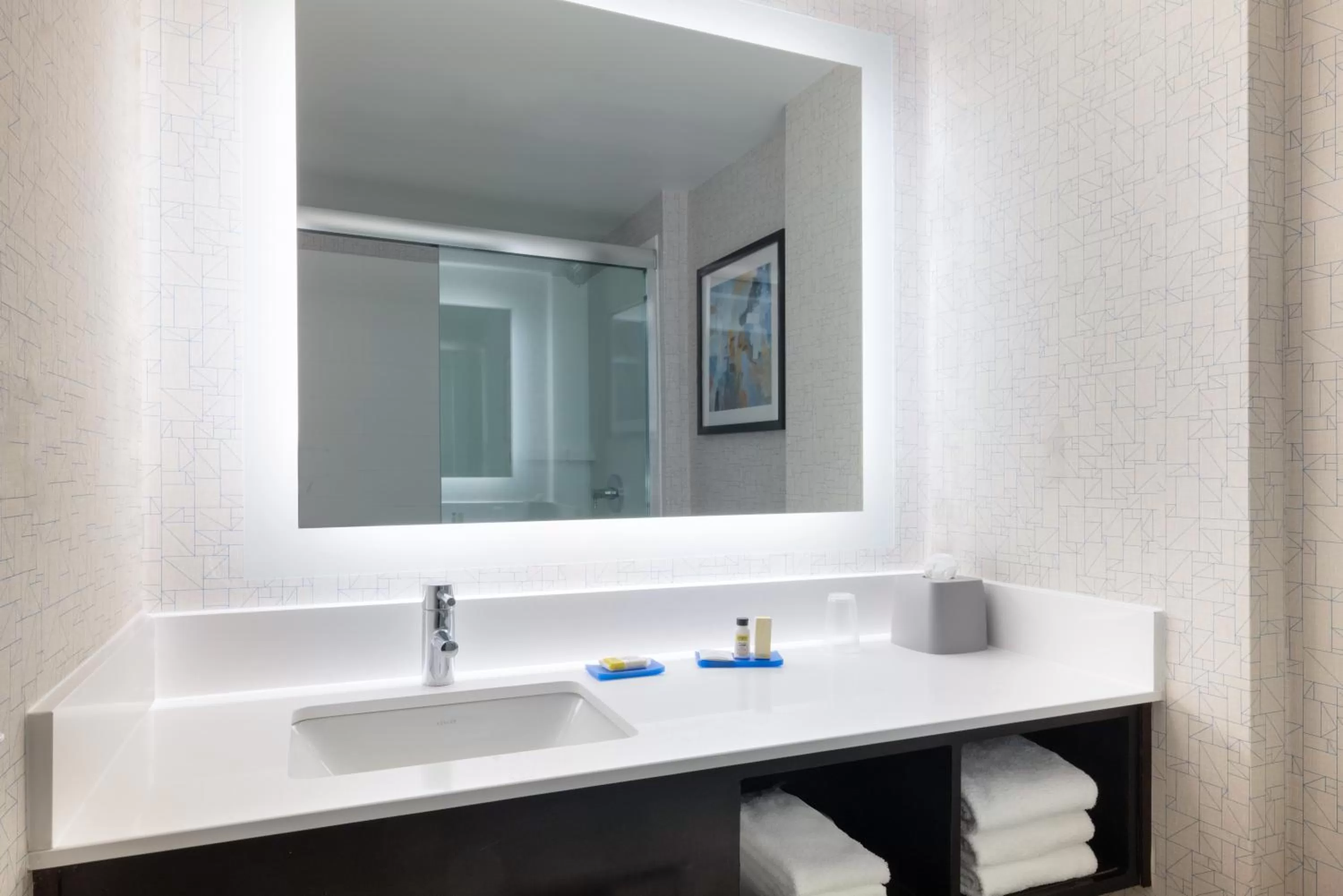 Bathroom in Holiday Inn Express & Suites Boston - Cambridge by IHG