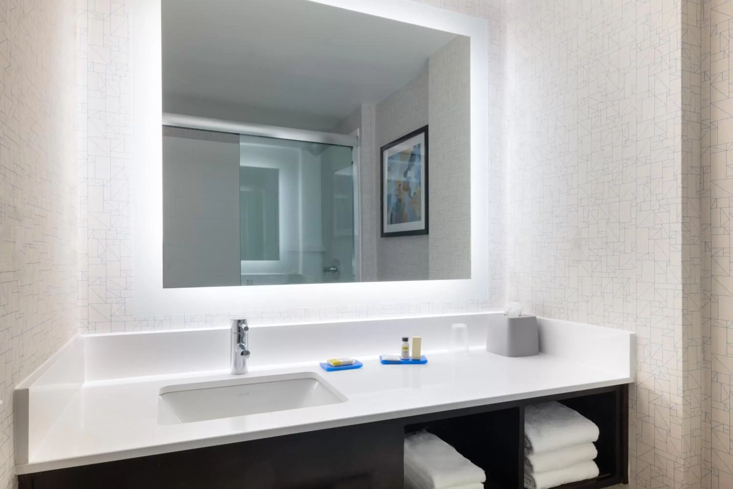 Bathroom in Holiday Inn Express & Suites Boston - Cambridge, an IHG Hotel