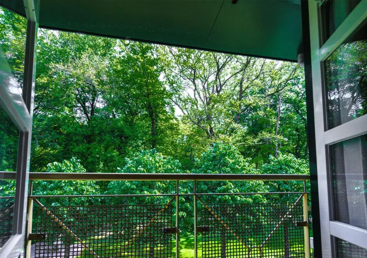 Garden view, Balcony/Terrace in Golden Tulip Tjaarda Oranjewoud - Heerenveen