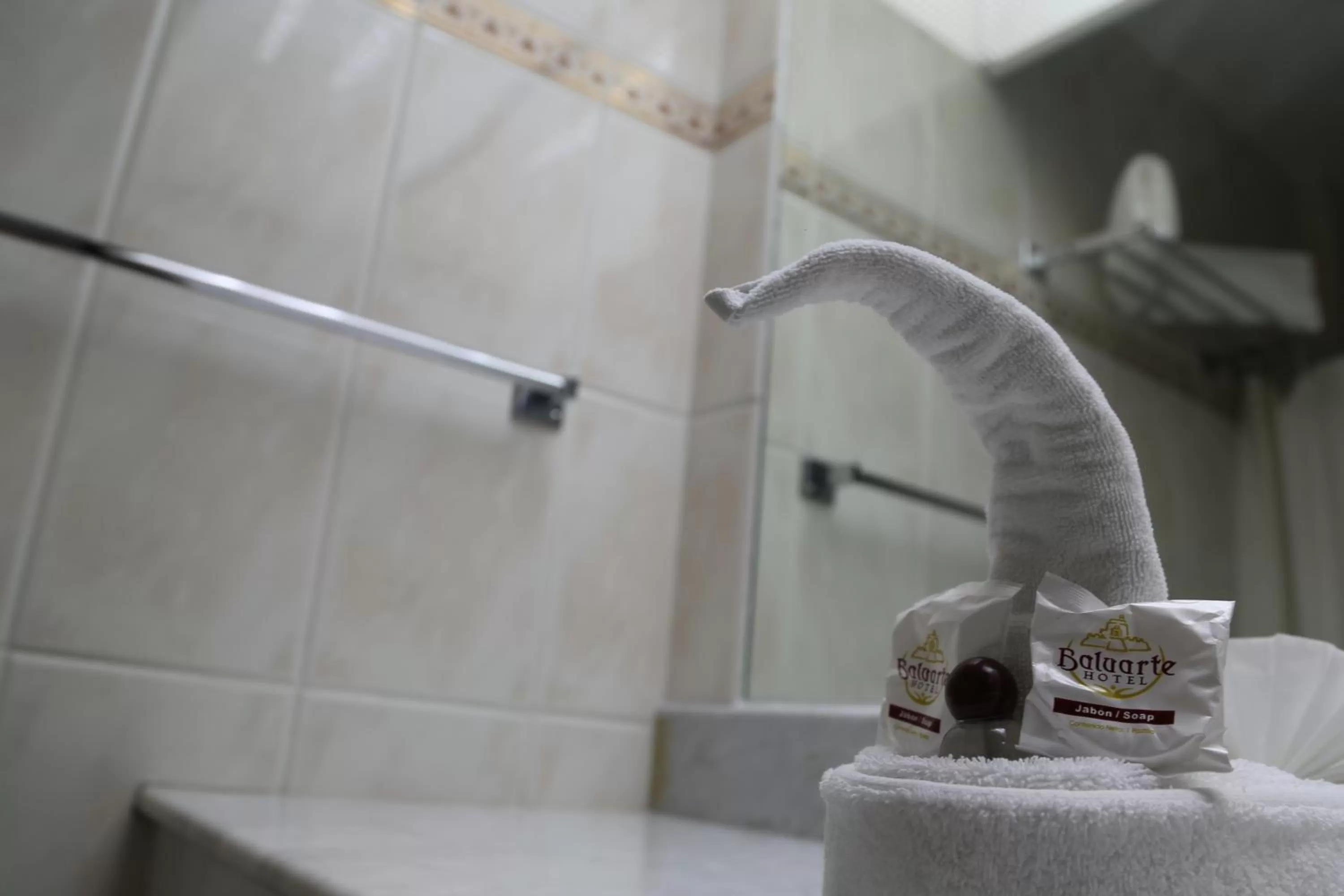 Bathroom in Hotel Baluarte