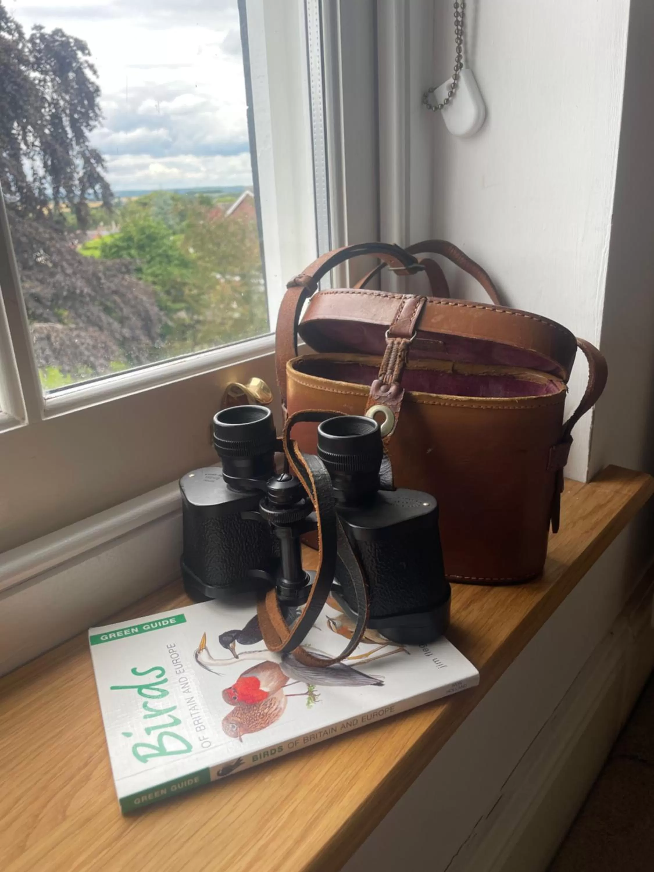 View (from property/room) in Eagle House - Award Winning B&B and Apartment