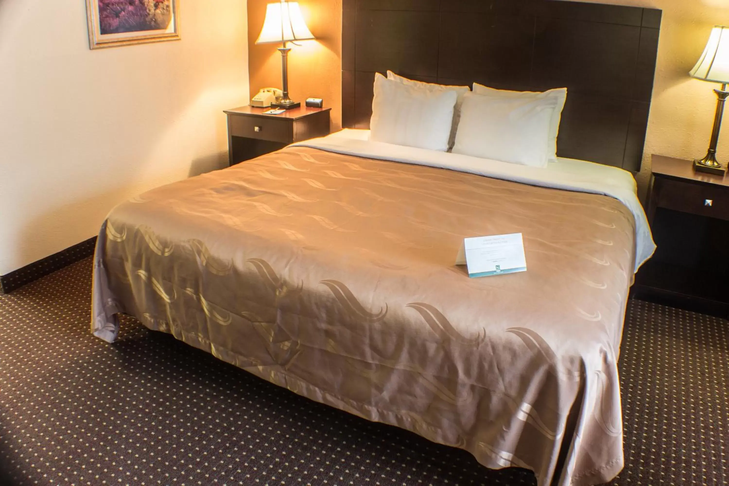 Standard King Room - Non-Smoking- Not Pet Friendly in Quality Inn & Suites Conference Center Across from Casino