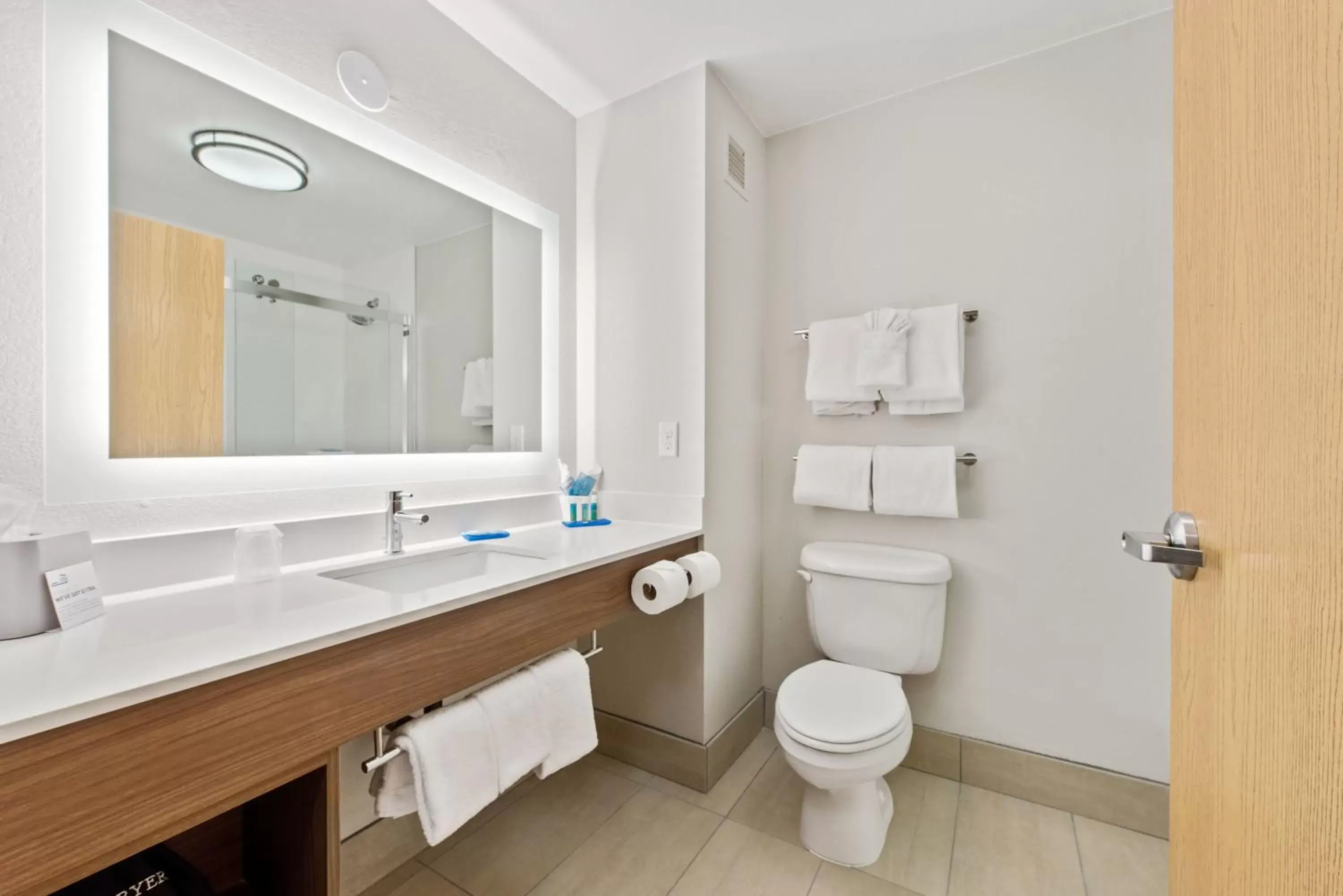 Photo of the whole room, Bathroom in Holiday Inn Express West Valley City, an IHG Hotel