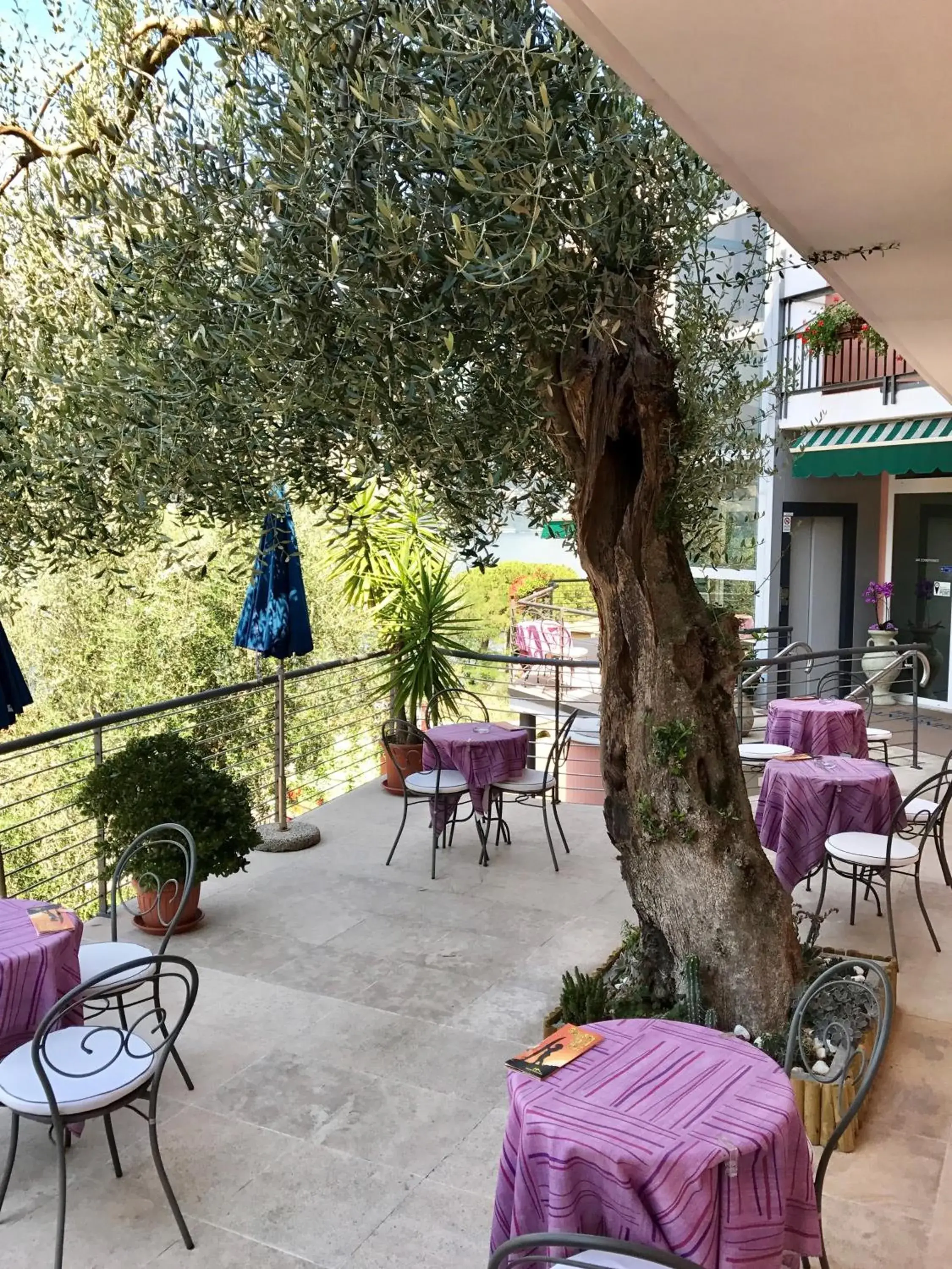 Balcony/Terrace in Hotel Antonella