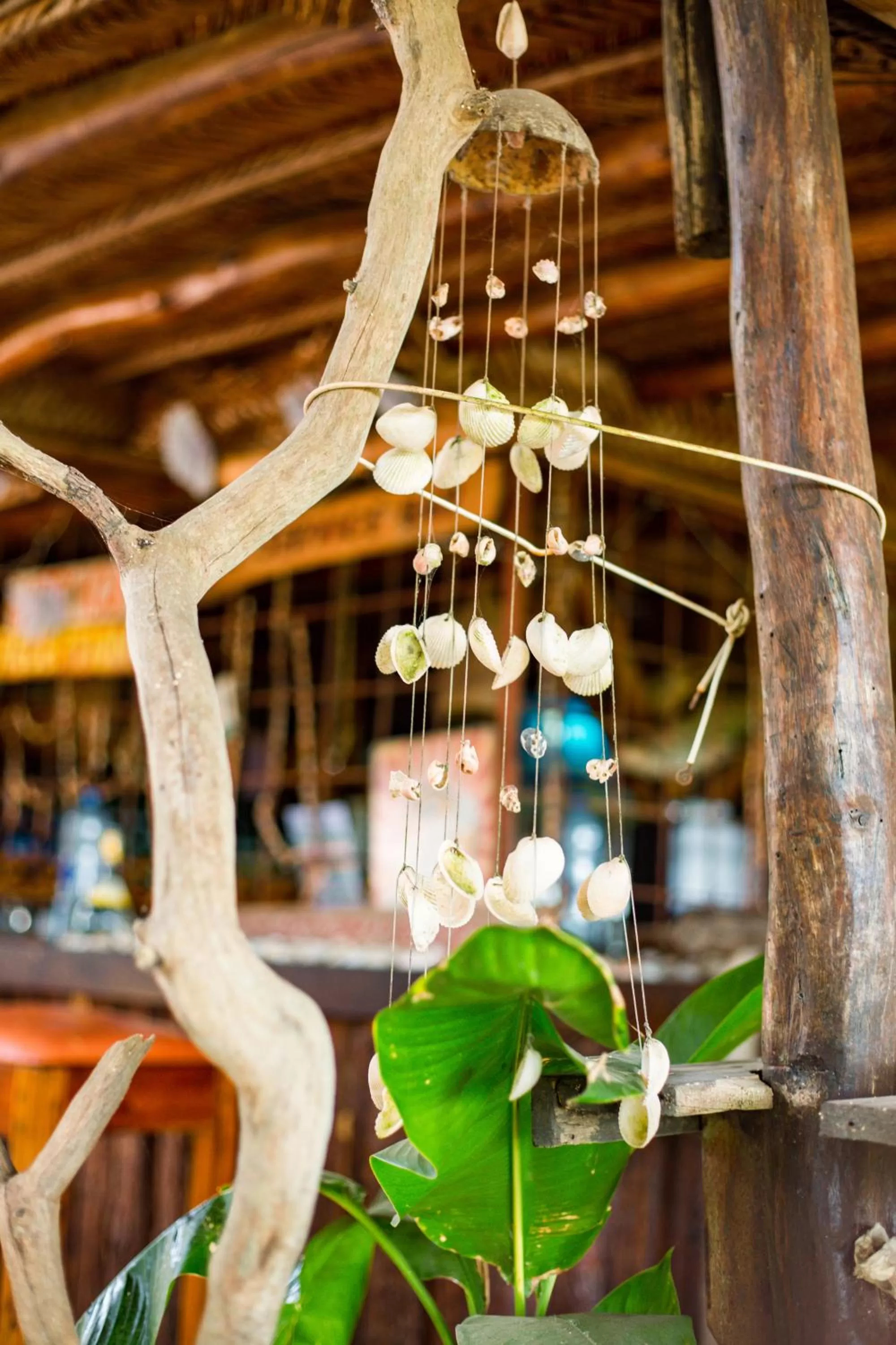 Decorative detail in Mikoko Beach & Cottages