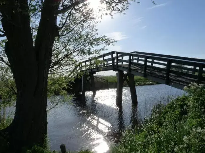 Natural landscape in 't Laaisterplakky