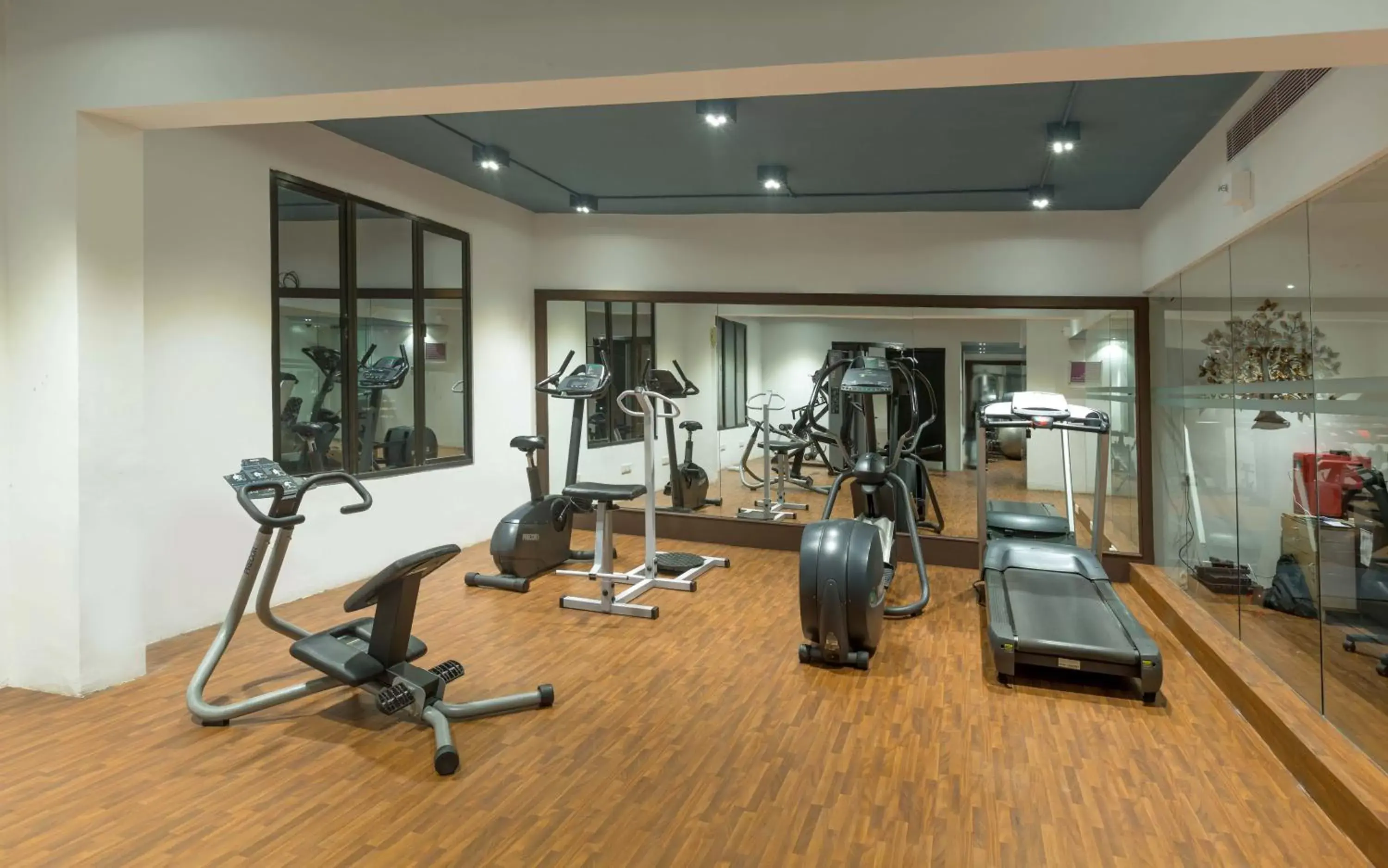 Fitness centre/facilities in Regenta Central Deccan Chennai, Royapettah