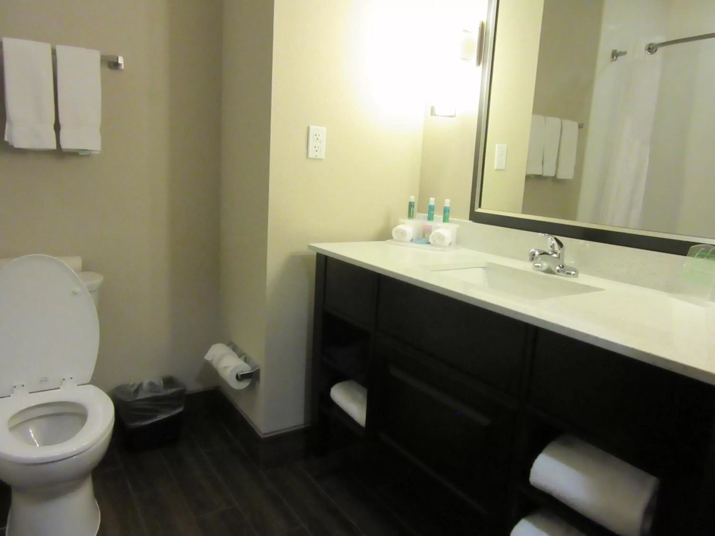 Bathroom in Holiday Inn Express Wichita South, an IHG Hotel